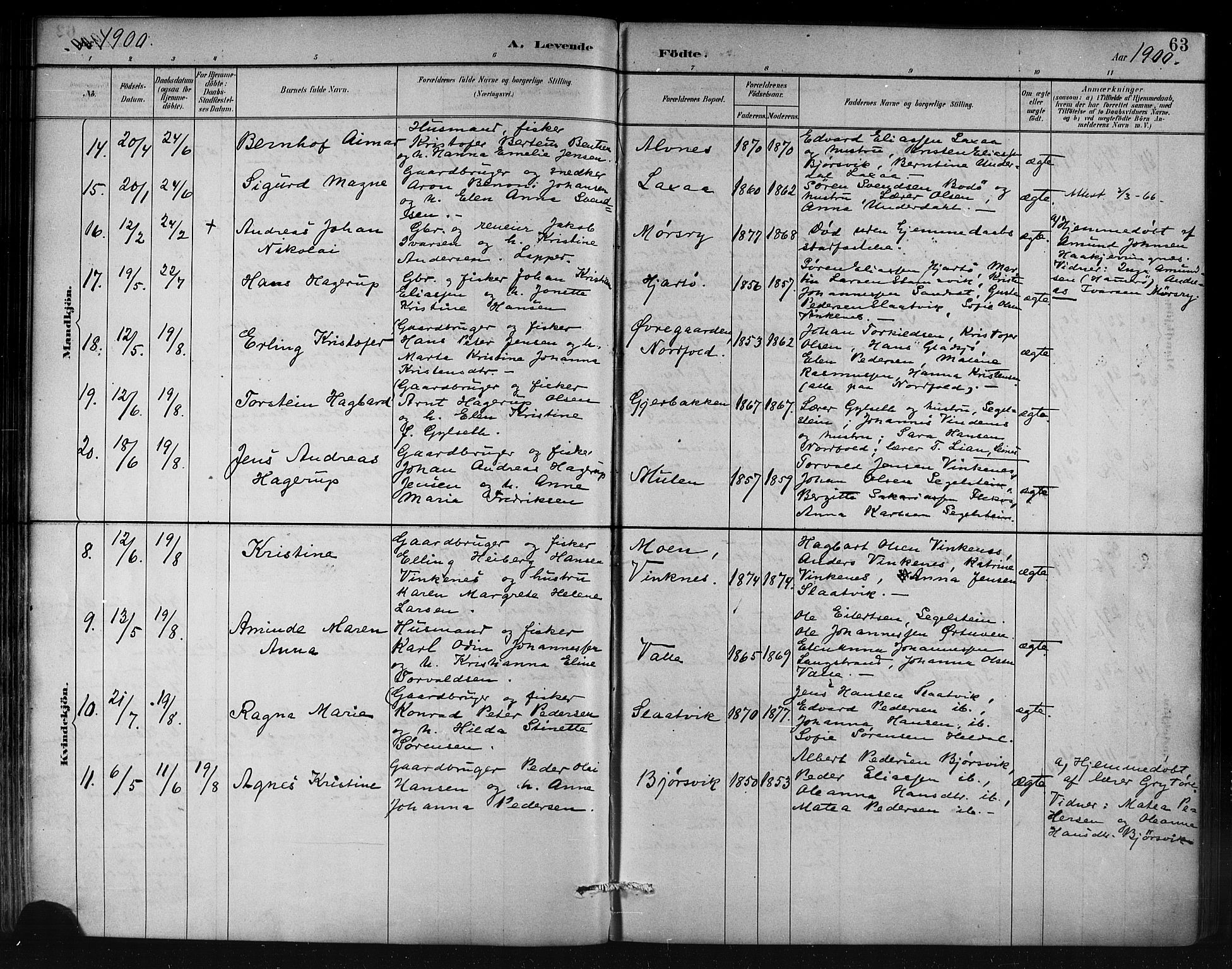 Ministerialprotokoller, klokkerbøker og fødselsregistre - Nordland, AV/SAT-A-1459/858/L0831: Parish register (official) no. 858A01, 1884-1902, p. 63