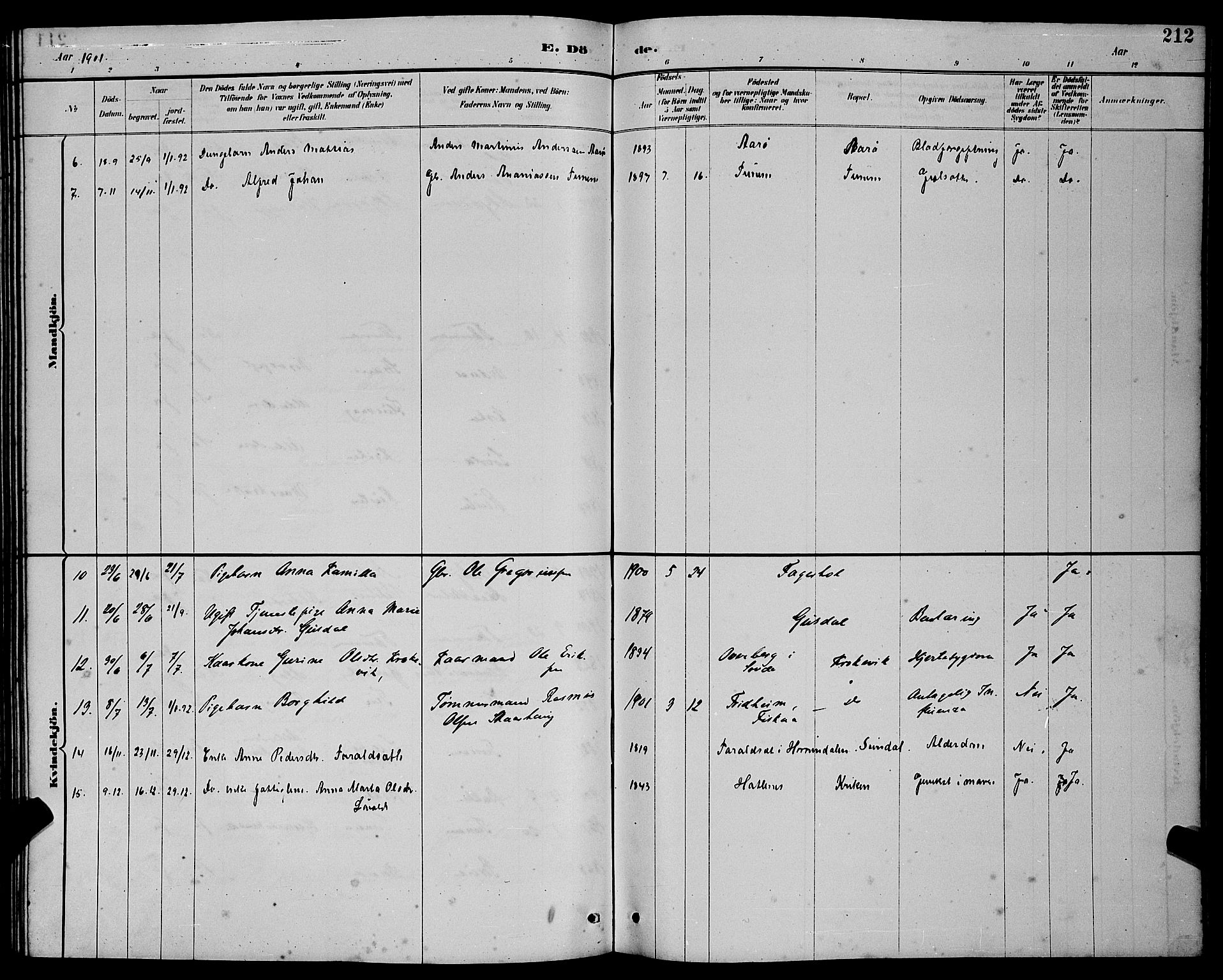 Ministerialprotokoller, klokkerbøker og fødselsregistre - Møre og Romsdal, AV/SAT-A-1454/501/L0017: Parish register (copy) no. 501C03, 1885-1901, p. 212