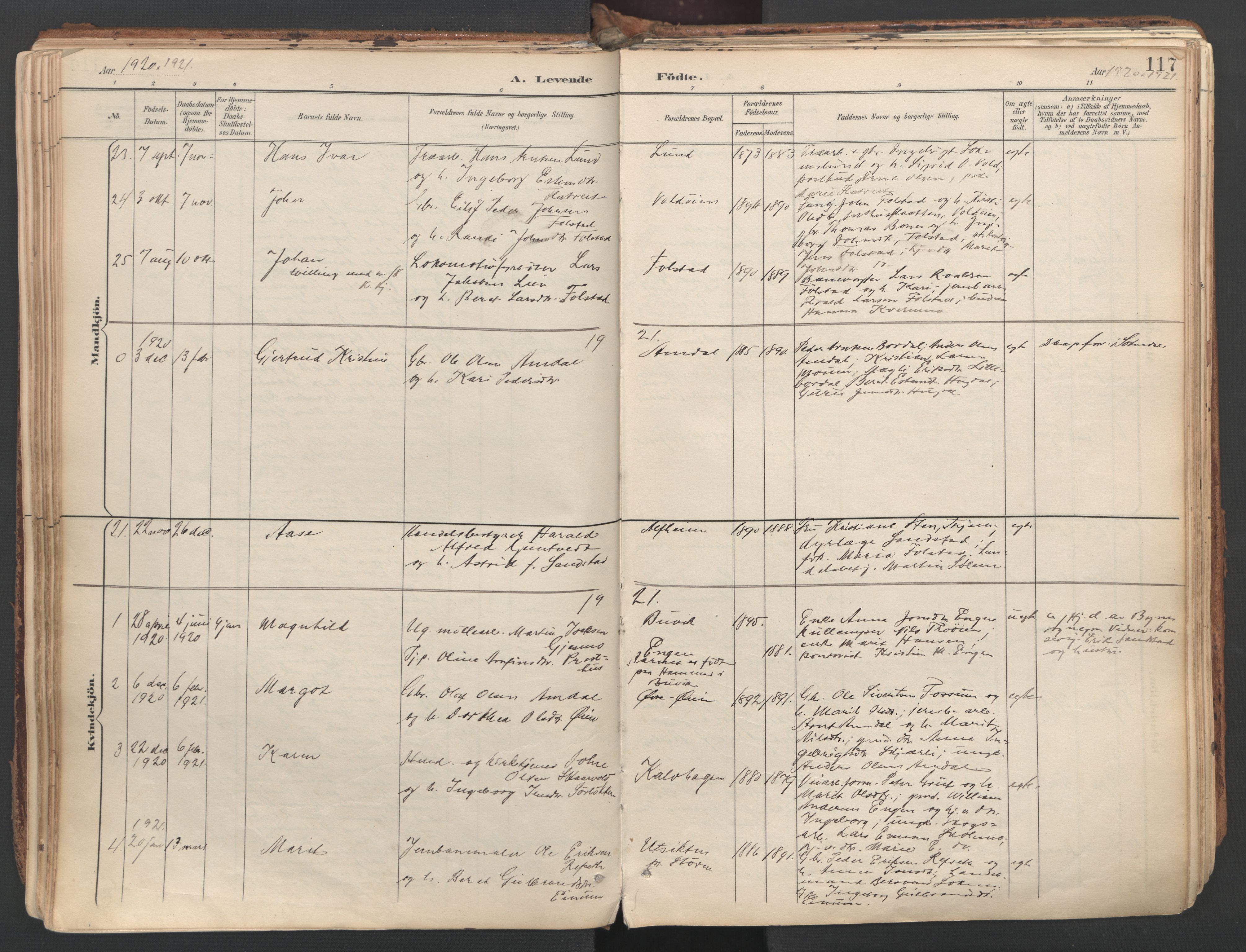 Ministerialprotokoller, klokkerbøker og fødselsregistre - Sør-Trøndelag, SAT/A-1456/687/L1004: Parish register (official) no. 687A10, 1891-1923, p. 117