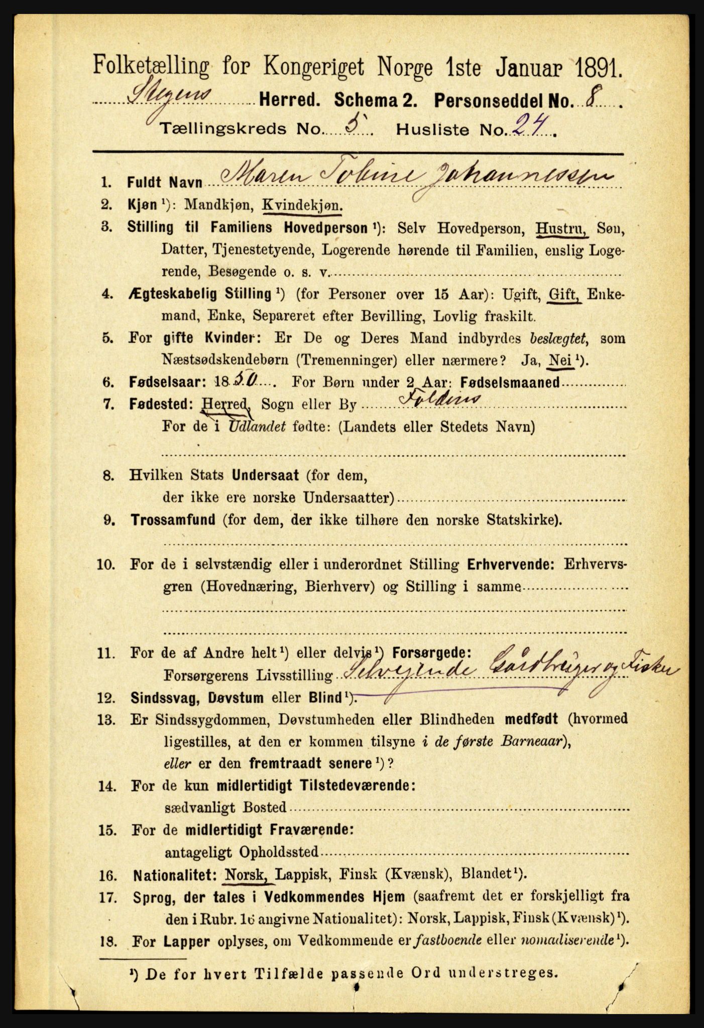 RA, 1891 census for 1848 Steigen, 1891, p. 1982