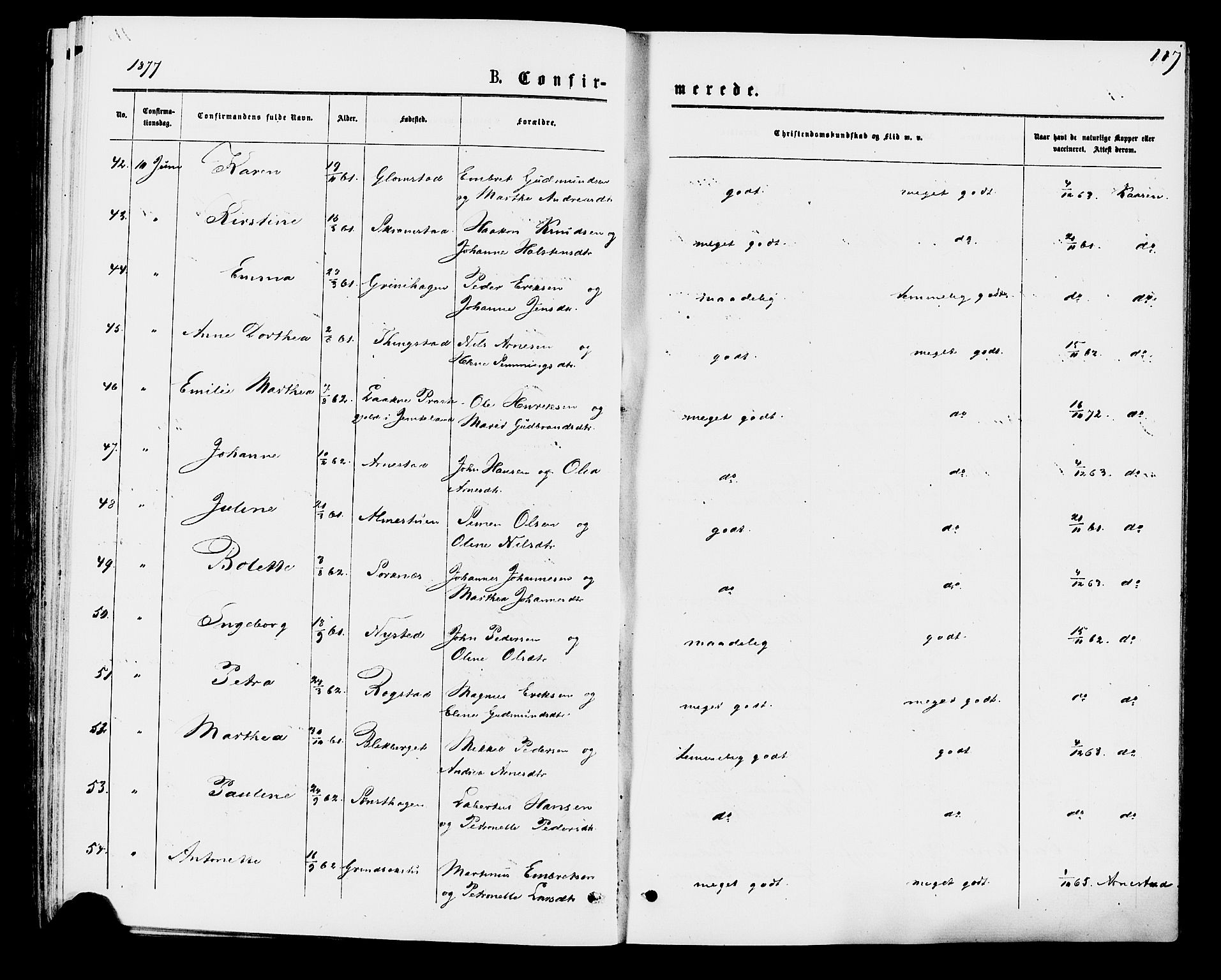 Åmot prestekontor, Hedmark, AV/SAH-PREST-056/H/Ha/Haa/L0009: Parish register (official) no. 9, 1875-1883, p. 117