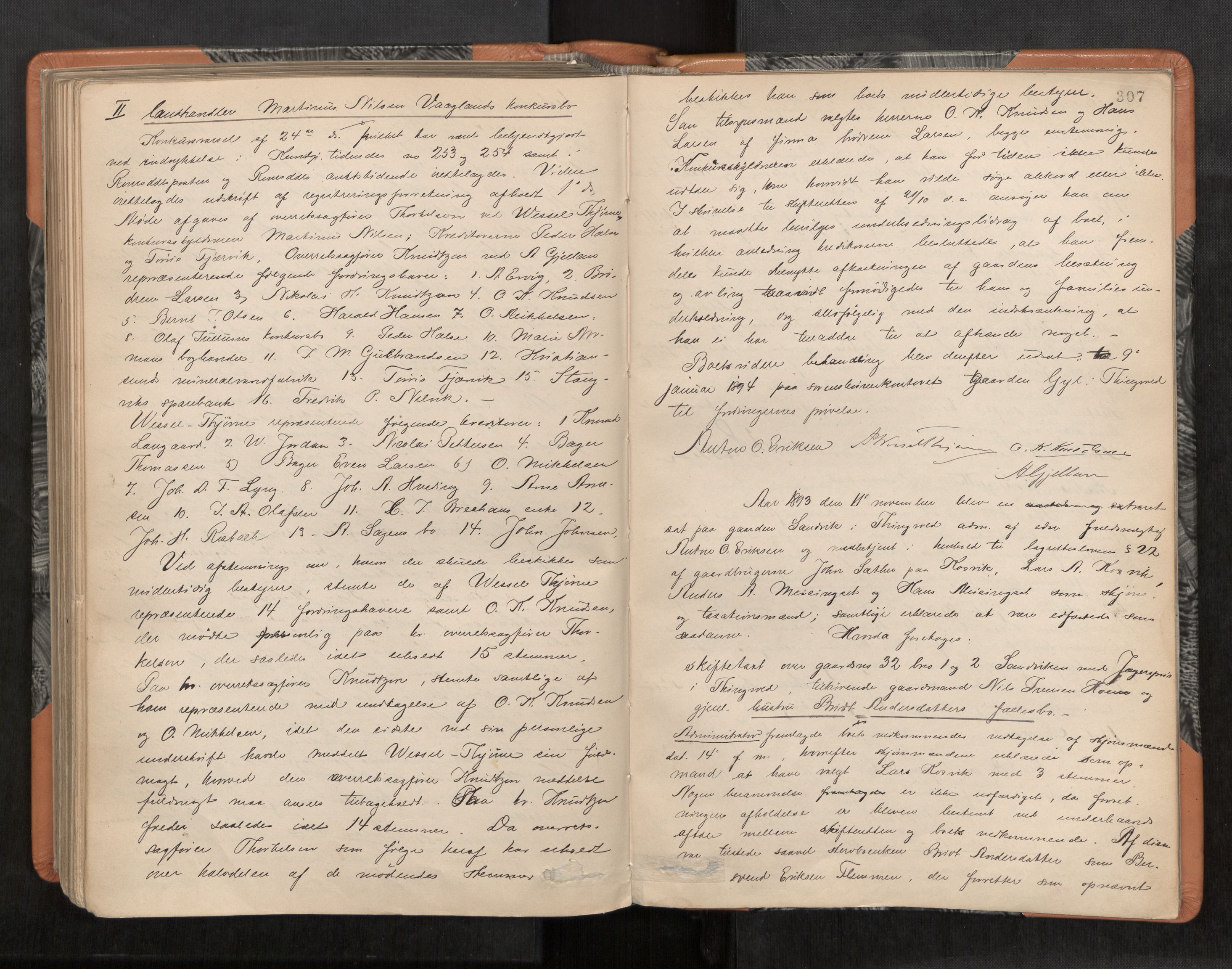 Nordmøre sorenskriveri, AV/SAT-A-4132/1/3/3B/L0005: Forhandlingsprotokoll nr. 05, 1887-1894, p. 307