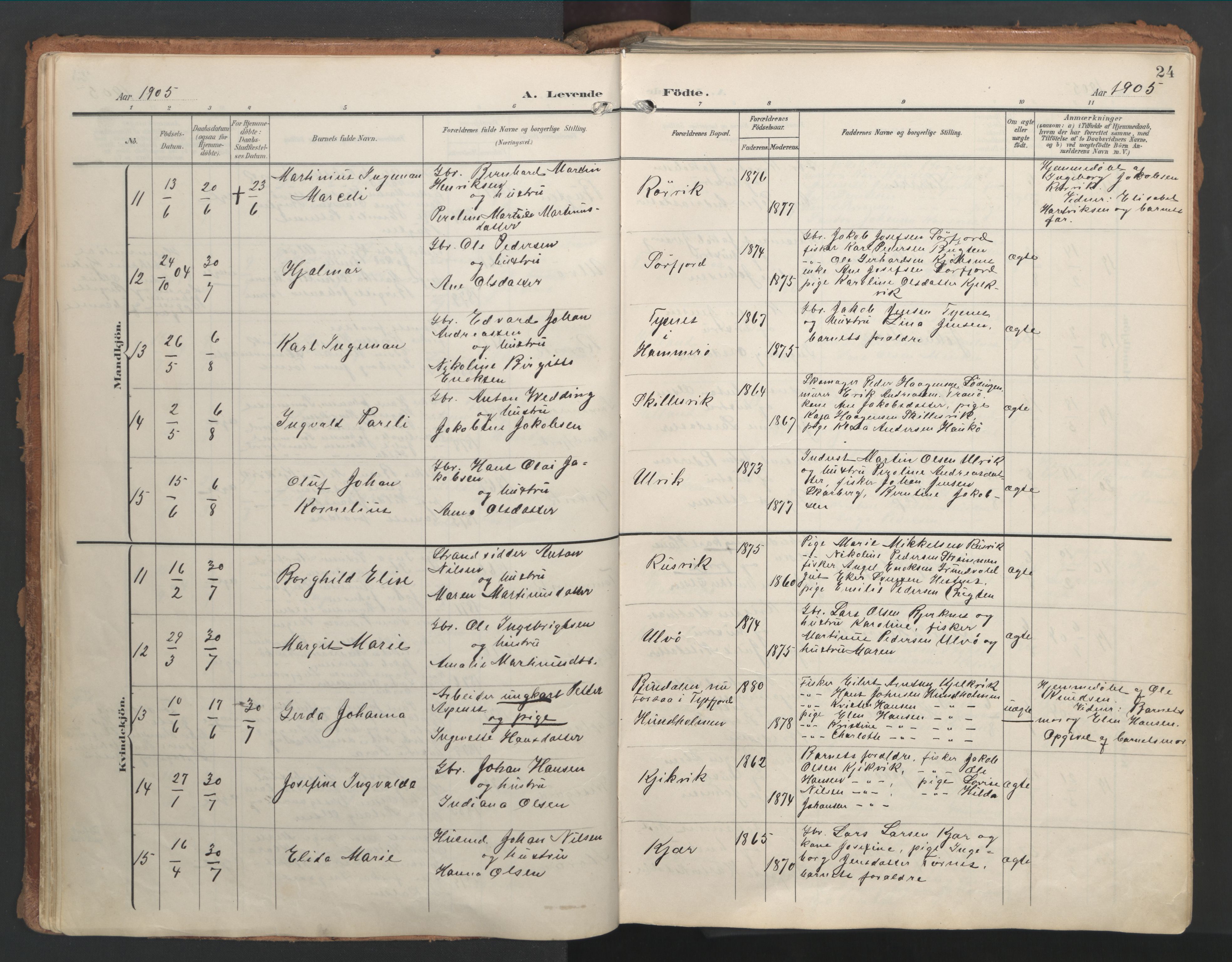 Ministerialprotokoller, klokkerbøker og fødselsregistre - Nordland, AV/SAT-A-1459/861/L0871: Parish register (official) no. 861A06, 1903-1916, p. 24