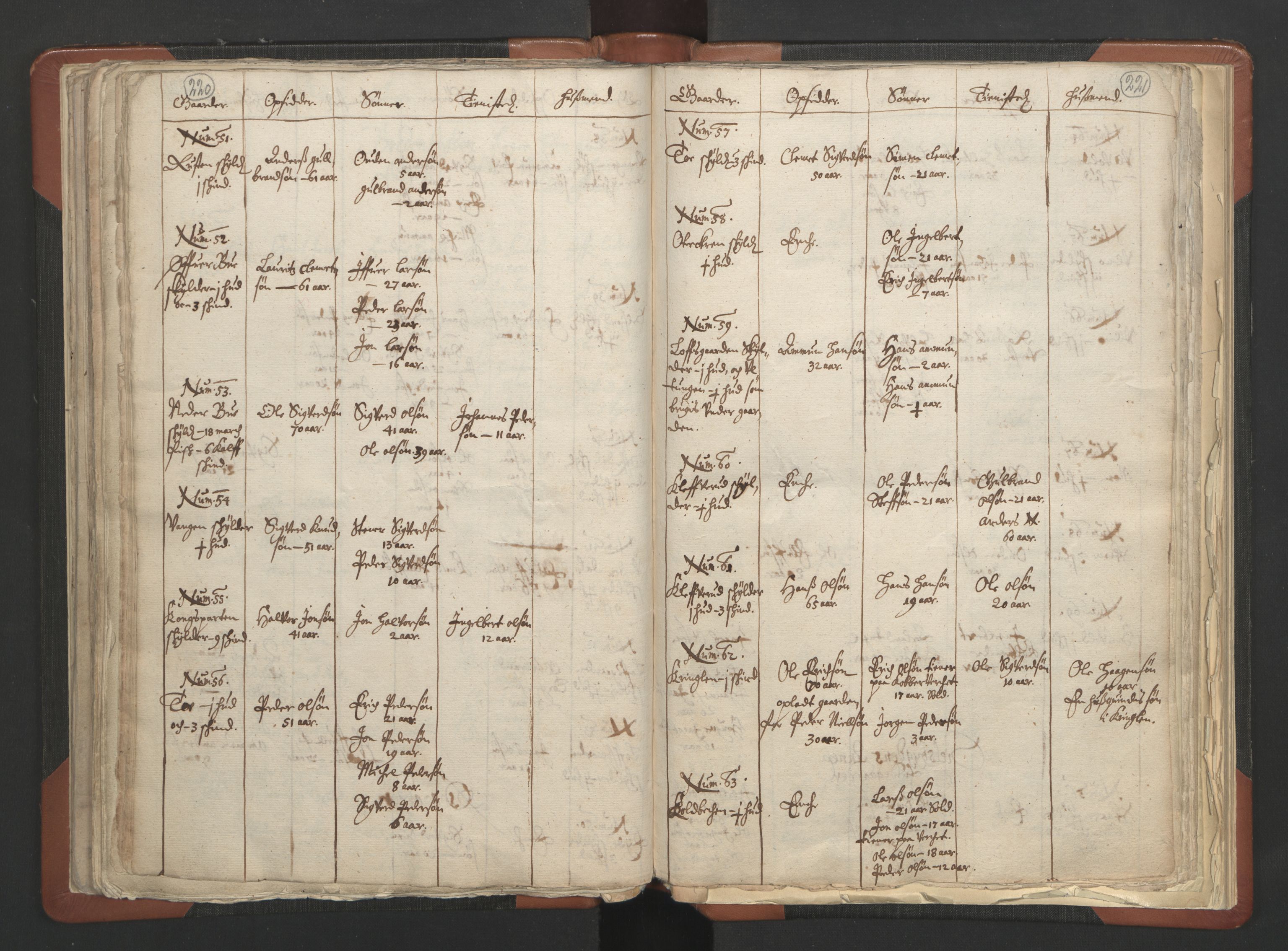 RA, Vicar's Census 1664-1666, no. 6: Gudbrandsdal deanery, 1664-1666, p. 220-221