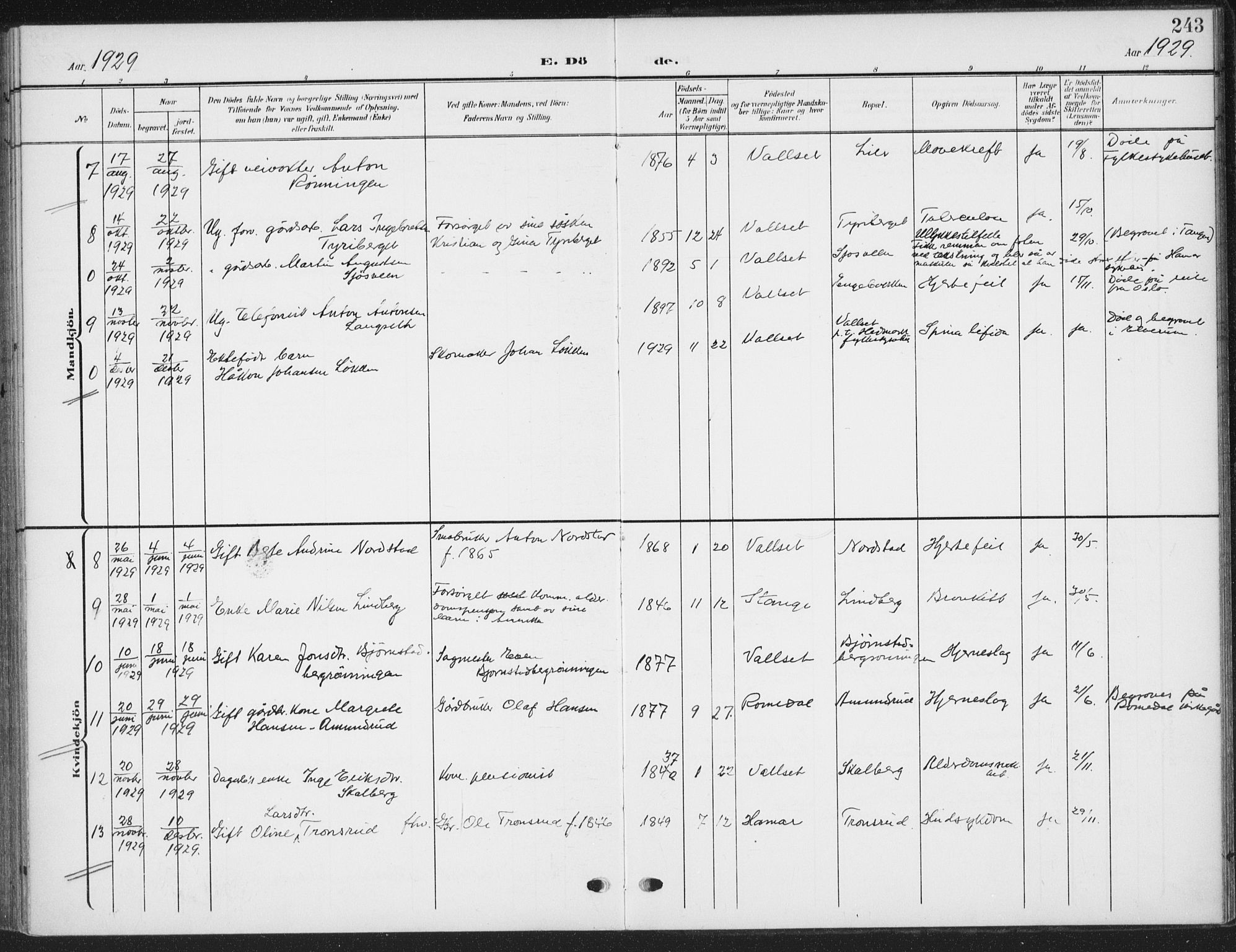 Romedal prestekontor, SAH/PREST-004/K/L0009: Parish register (official) no. 9, 1906-1929, p. 243