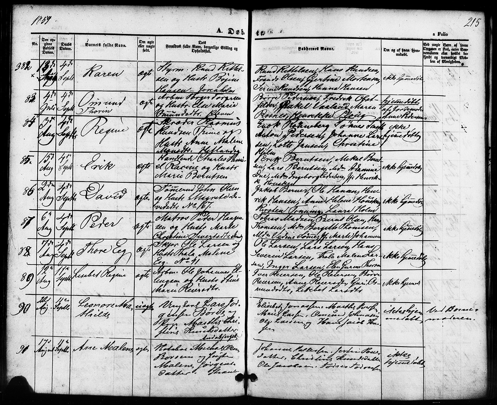 Domkirken sokneprestkontor, SAST/A-101812/001/30/30BB/L0010: Parish register (copy) no. B 10, 1855-1860, p. 215