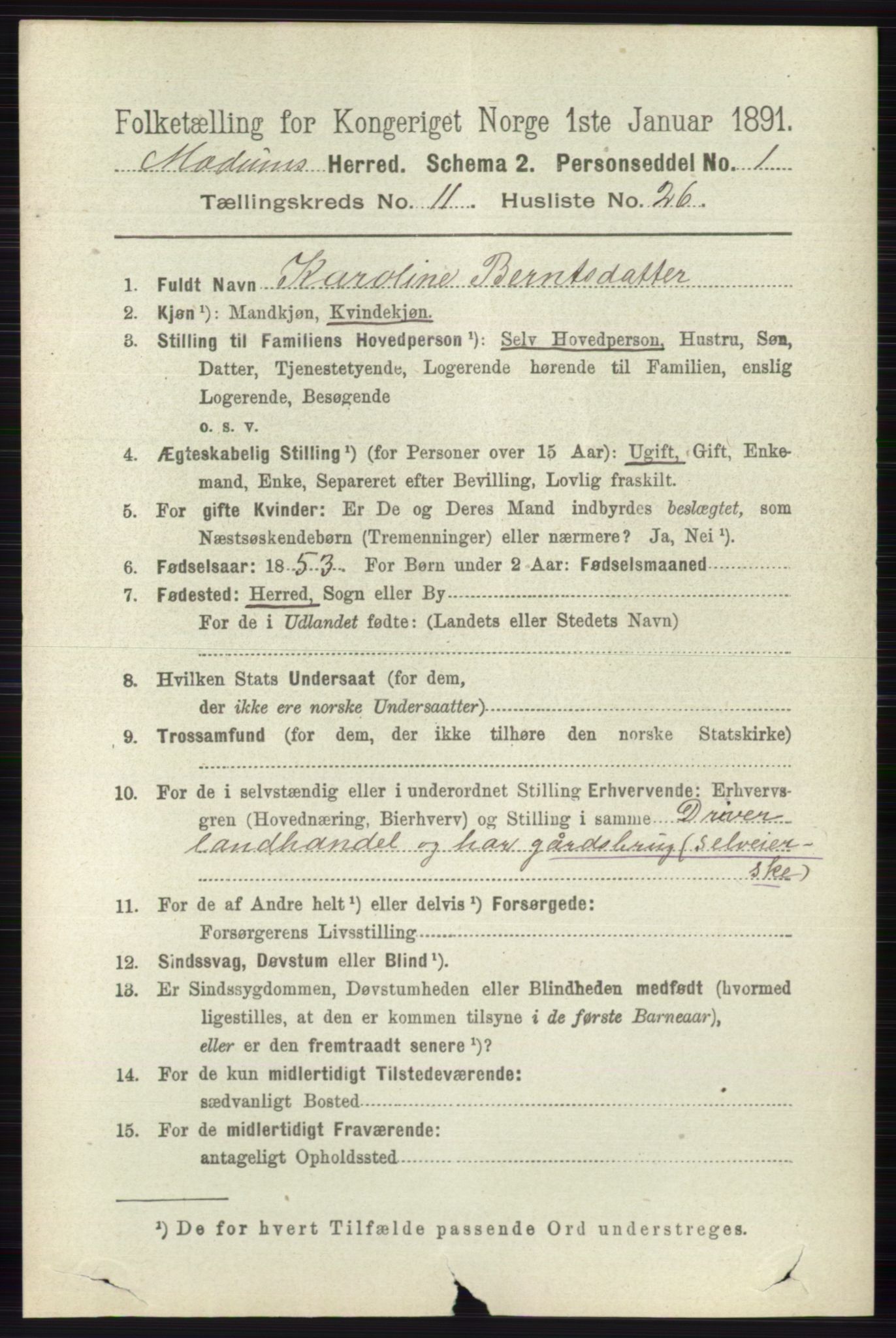 RA, 1891 census for 0623 Modum, 1891, p. 4369