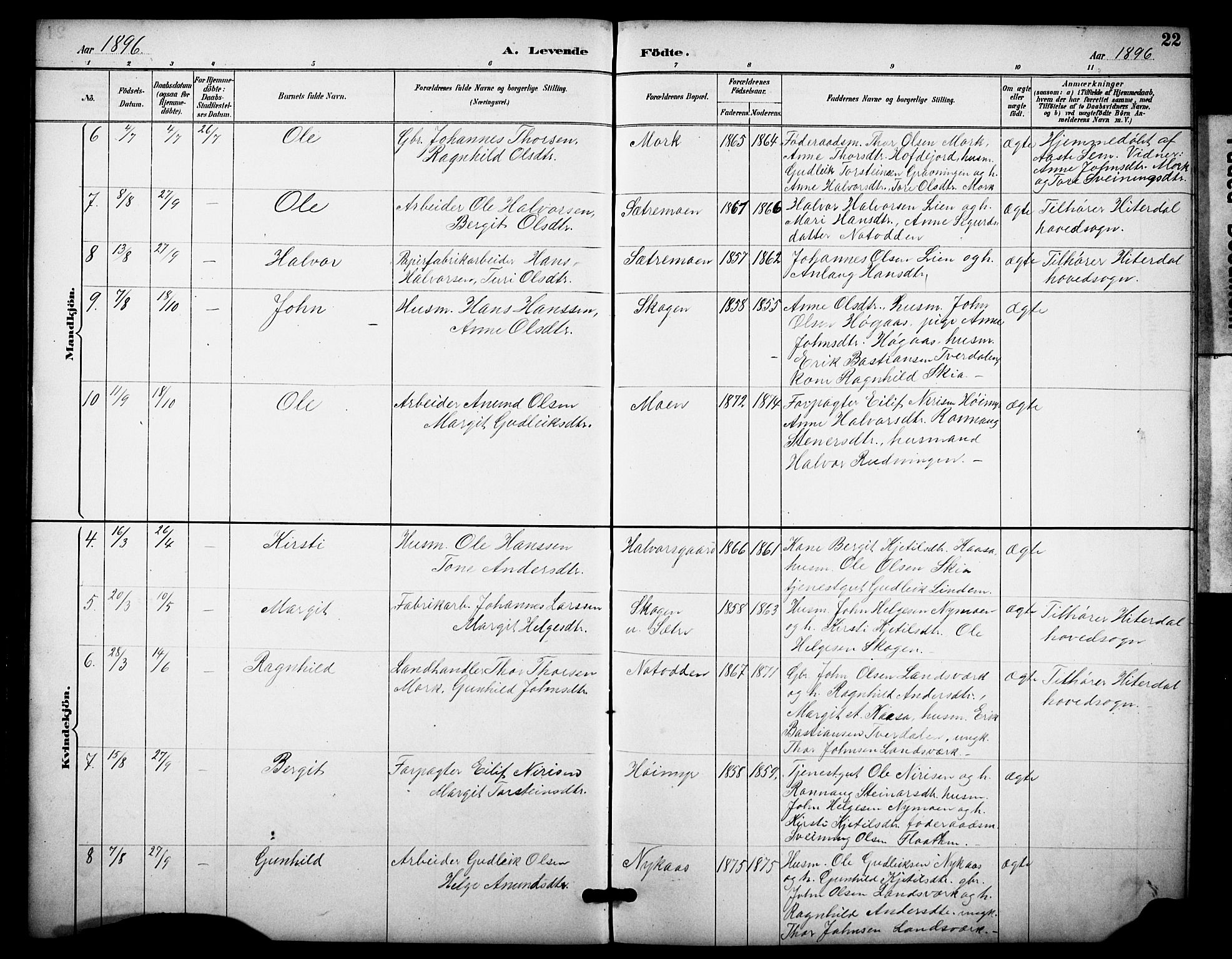 Heddal kirkebøker, SAKO/A-268/F/Fb/L0001: Parish register (official) no. II 1, 1884-1910, p. 22
