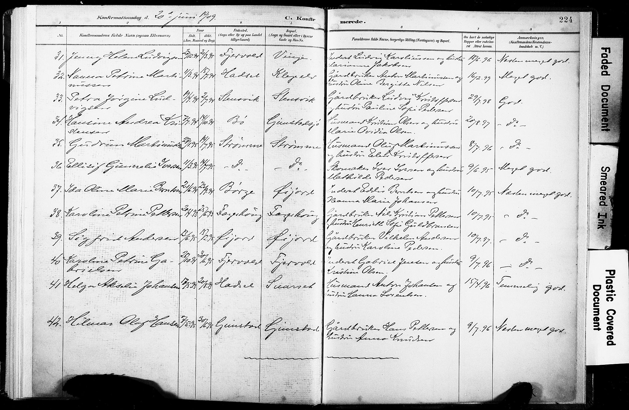 Ministerialprotokoller, klokkerbøker og fødselsregistre - Nordland, AV/SAT-A-1459/891/L1304: Parish register (official) no. 891A09, 1895-1921, p. 224