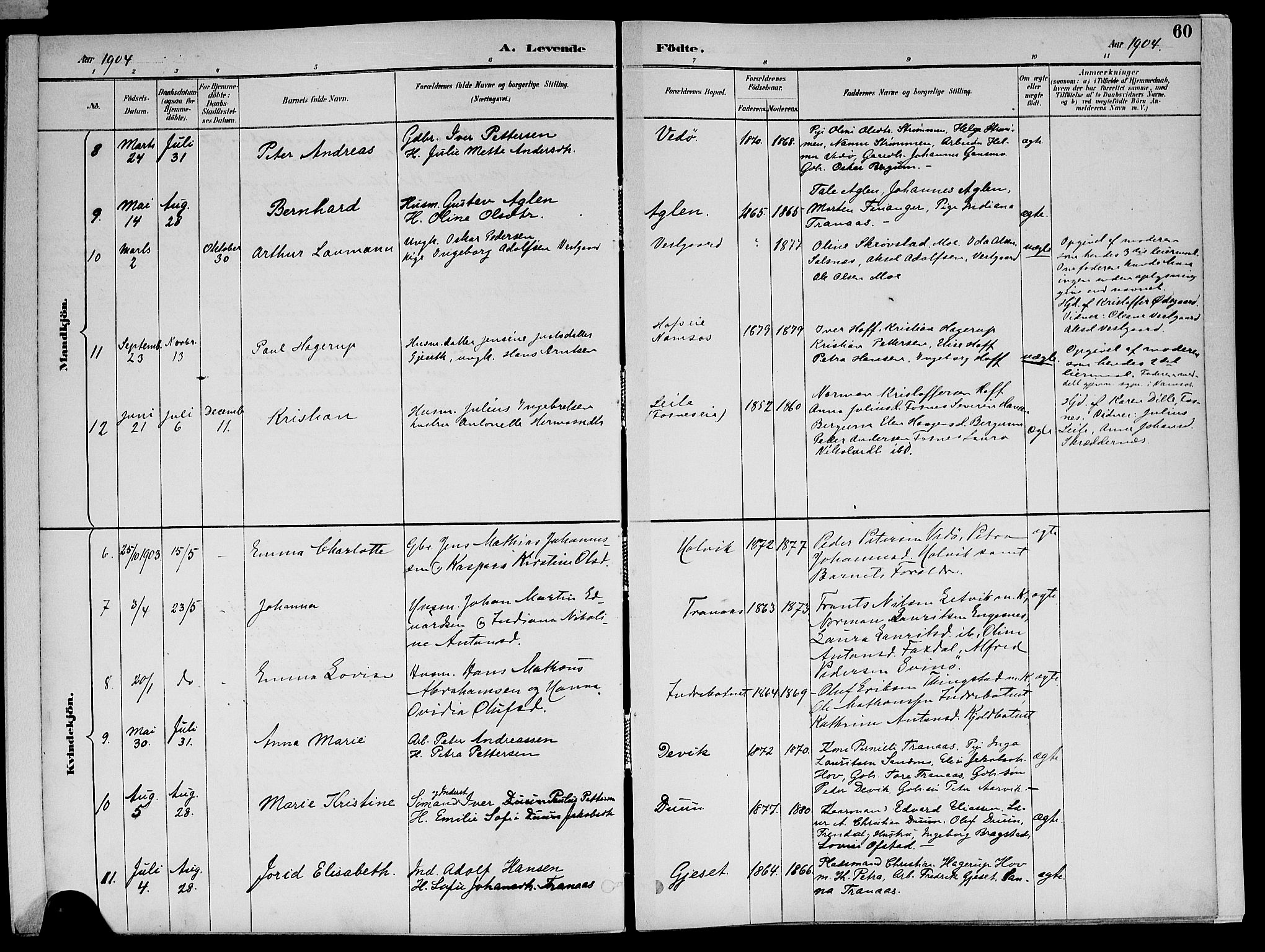 Ministerialprotokoller, klokkerbøker og fødselsregistre - Nord-Trøndelag, SAT/A-1458/773/L0617: Parish register (official) no. 773A08, 1887-1910, p. 60