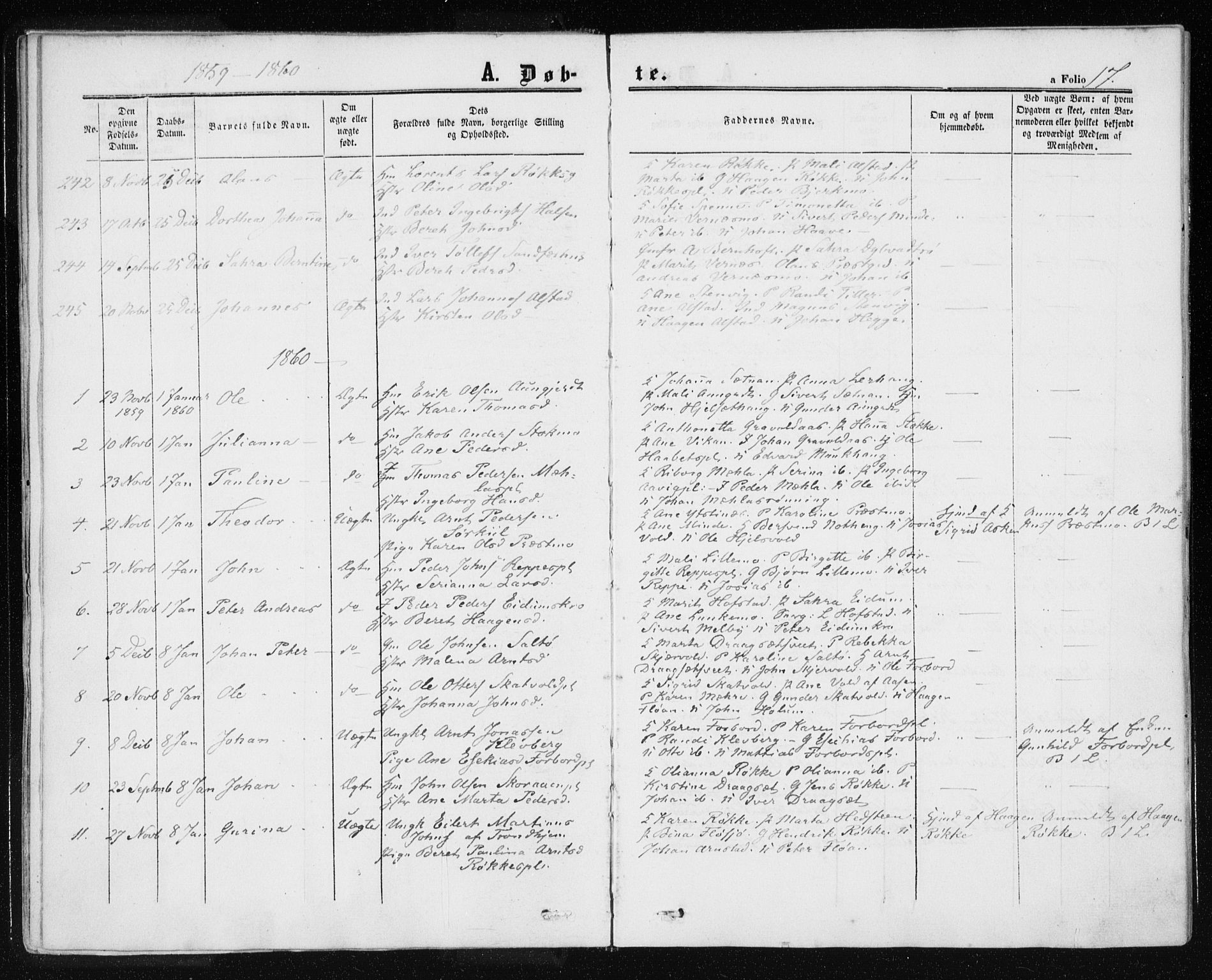 Ministerialprotokoller, klokkerbøker og fødselsregistre - Nord-Trøndelag, SAT/A-1458/709/L0075: Parish register (official) no. 709A15, 1859-1870, p. 17