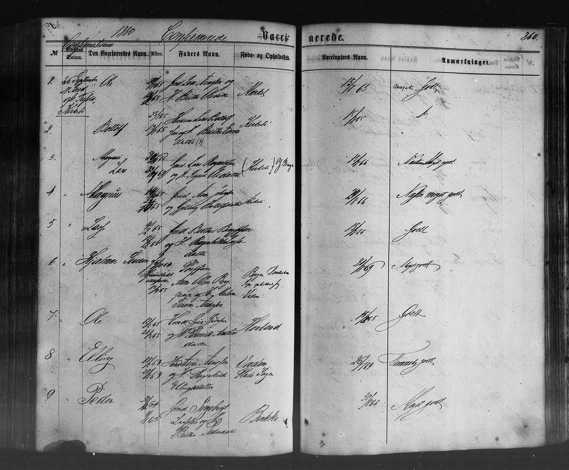 Lavik sokneprestembete, SAB/A-80901: Parish register (official) no. A 4, 1864-1881, p. 360