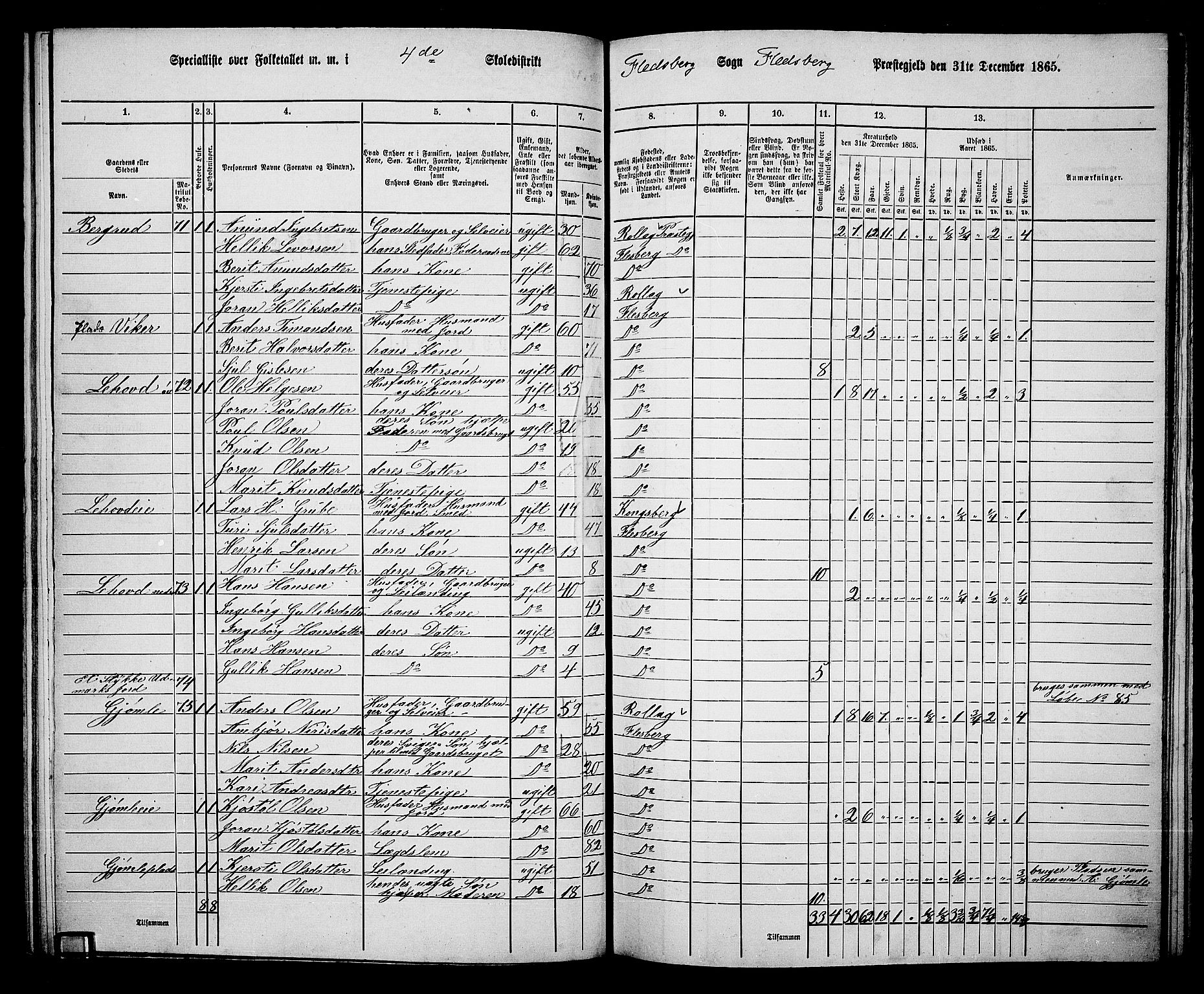 RA, 1865 census for Flesberg, 1865, p. 79