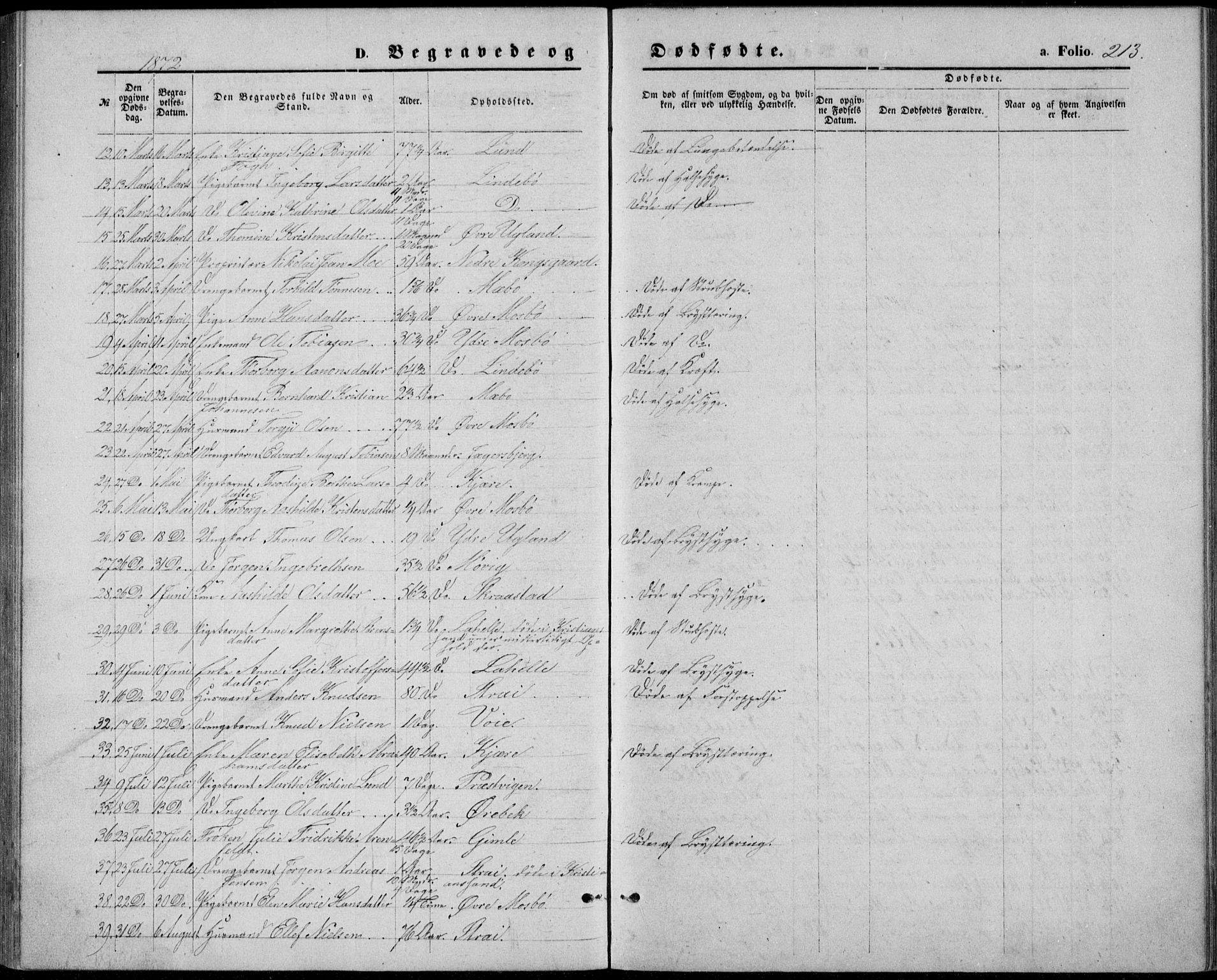 Oddernes sokneprestkontor, SAK/1111-0033/F/Fb/Fba/L0007: Parish register (copy) no. B 7, 1869-1887, p. 213