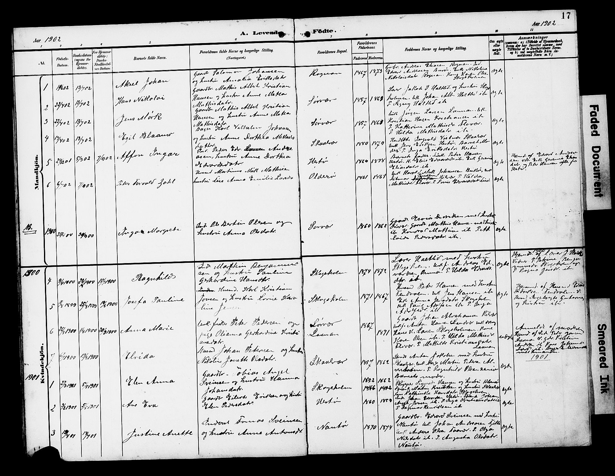 Ministerialprotokoller, klokkerbøker og fødselsregistre - Nordland, AV/SAT-A-1459/818/L0273: Parish register (copy) no. 818C01, 1893-1928, p. 17