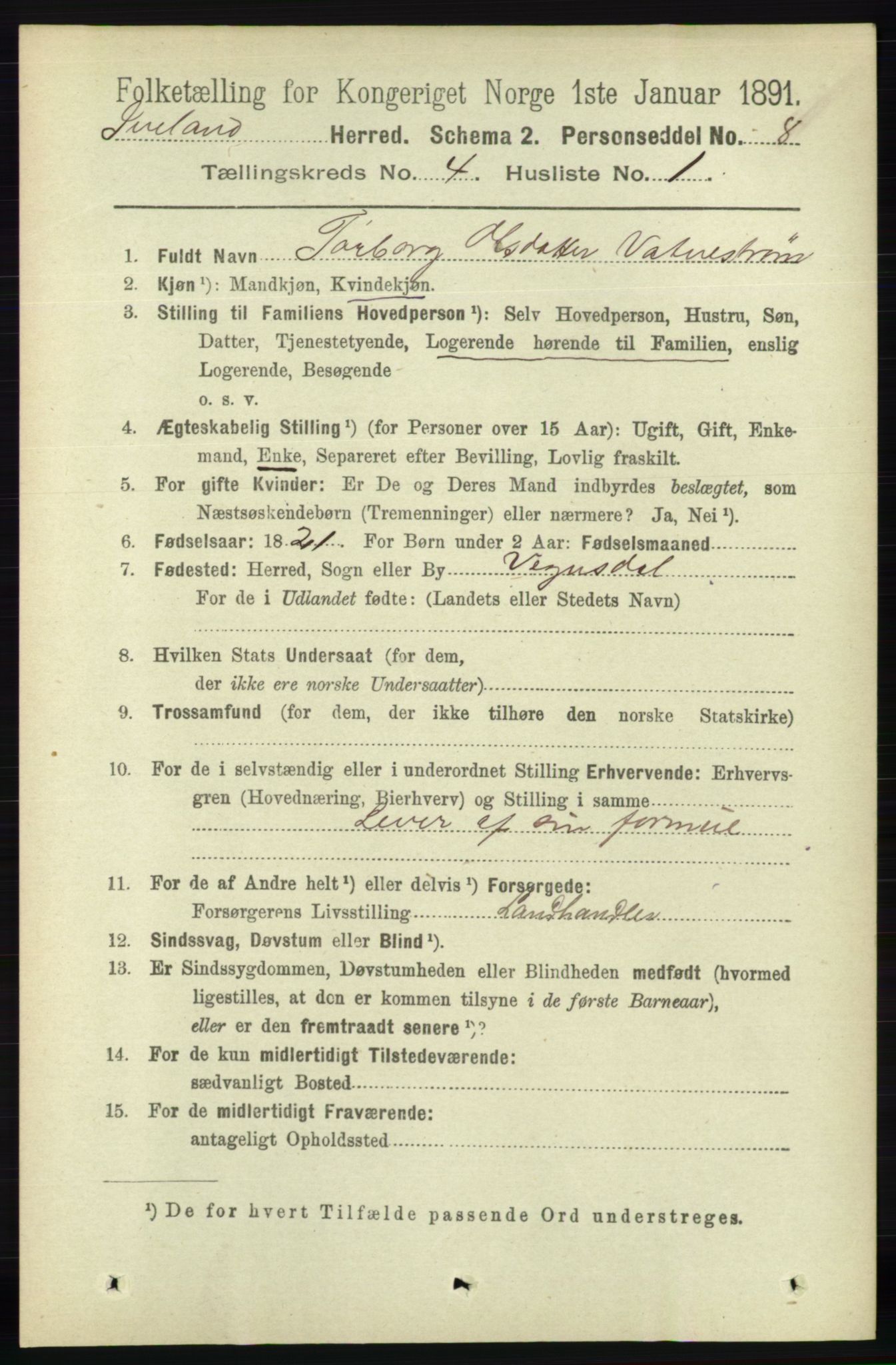 RA, 1891 census for 0935 Iveland, 1891, p. 1030