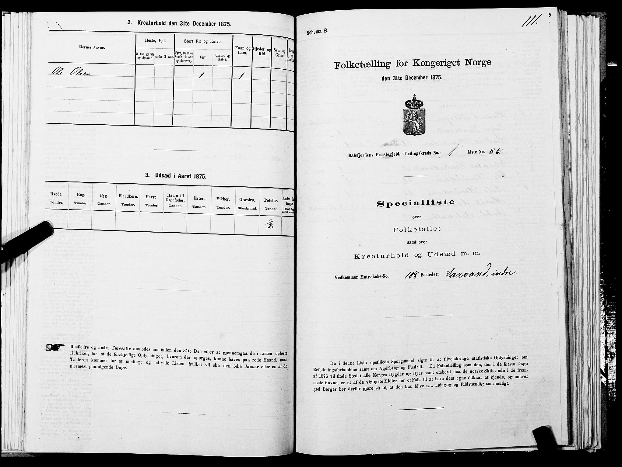 SATØ, 1875 census for 1933P Balsfjord, 1875, p. 1111