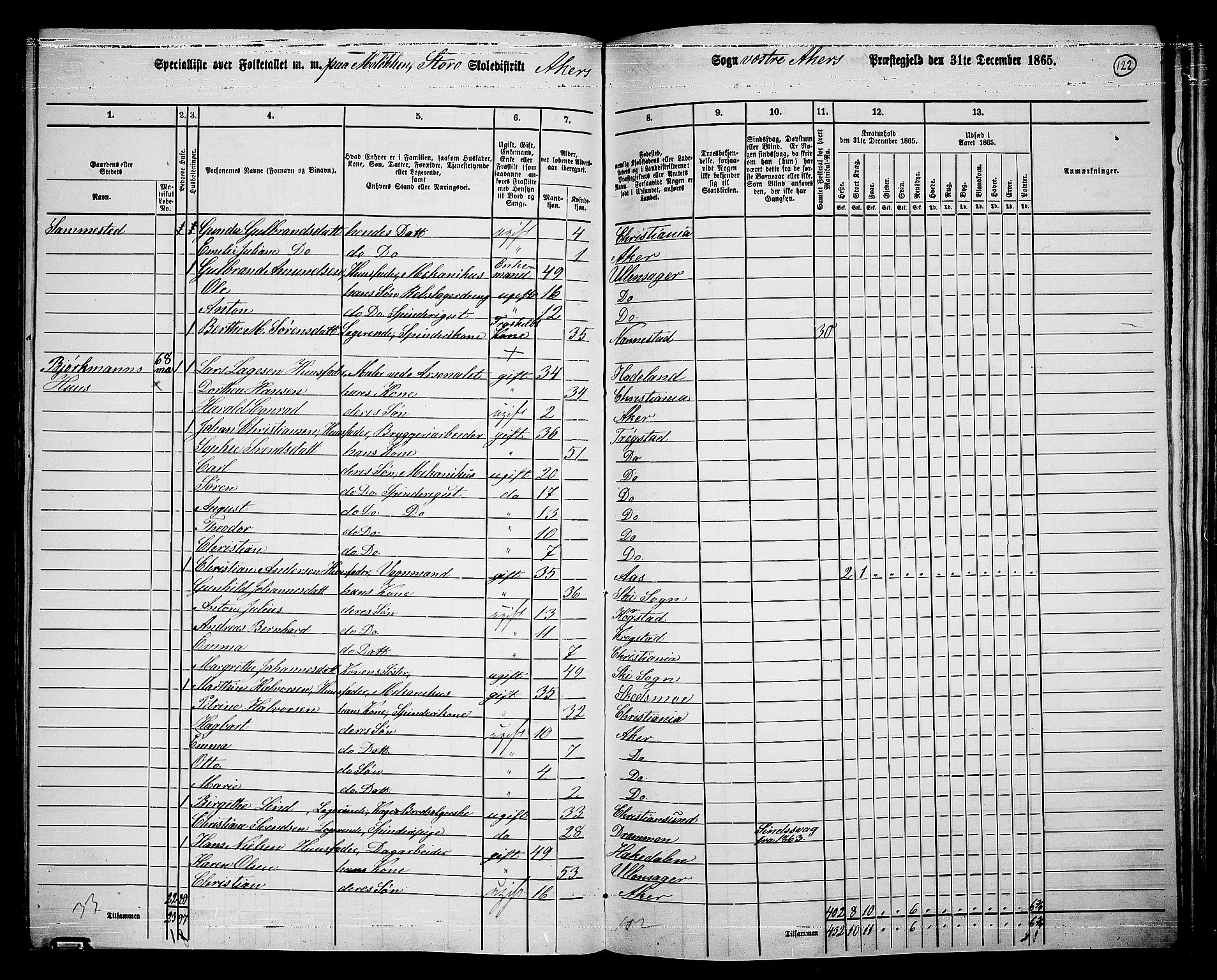 RA, 1865 census for Vestre Aker, 1865, p. 290