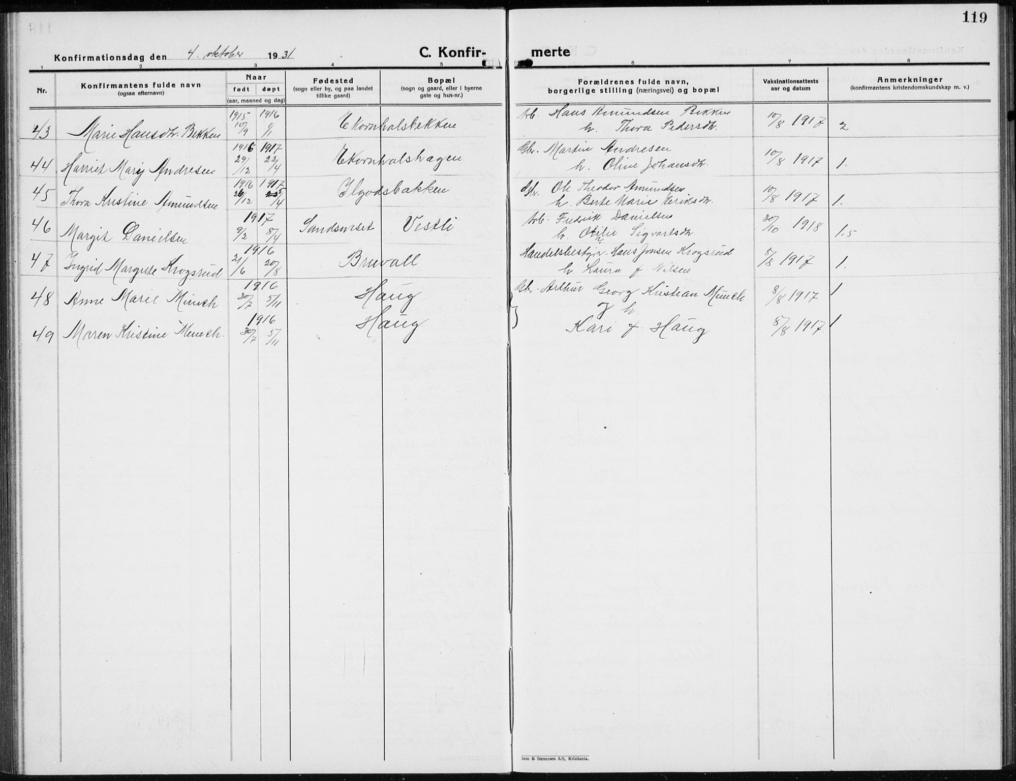 Nord-Odal prestekontor, SAH/PREST-032/H/Ha/Hab/L0005: Parish register (copy) no. 5, 1924-1938, p. 119