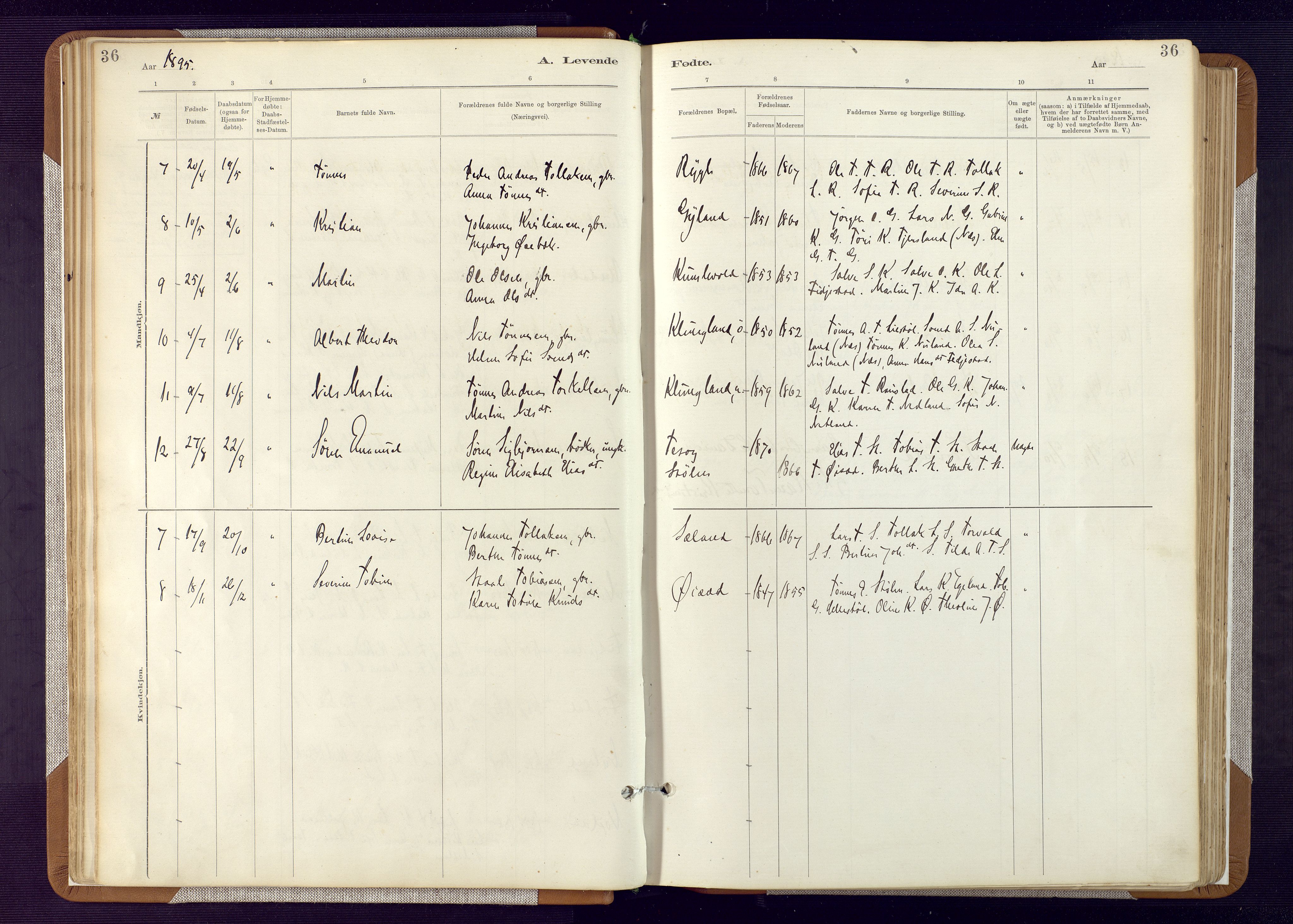 Bakke sokneprestkontor, AV/SAK-1111-0002/F/Fa/Fab/L0003: Parish register (official) no. A 3, 1884-1921, p. 36