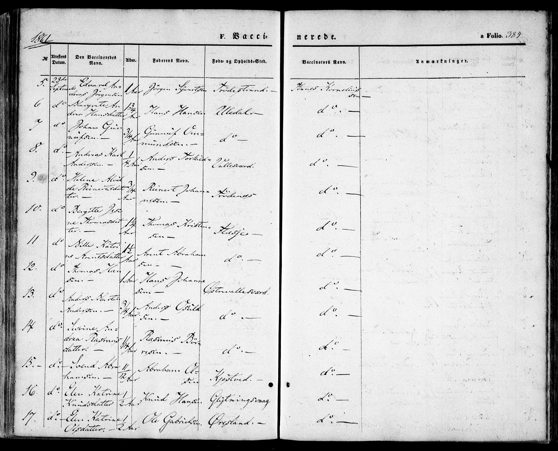 Høvåg sokneprestkontor, SAK/1111-0025/F/Fa/L0004: Parish register (official) no. A 4, 1859-1877, p. 384
