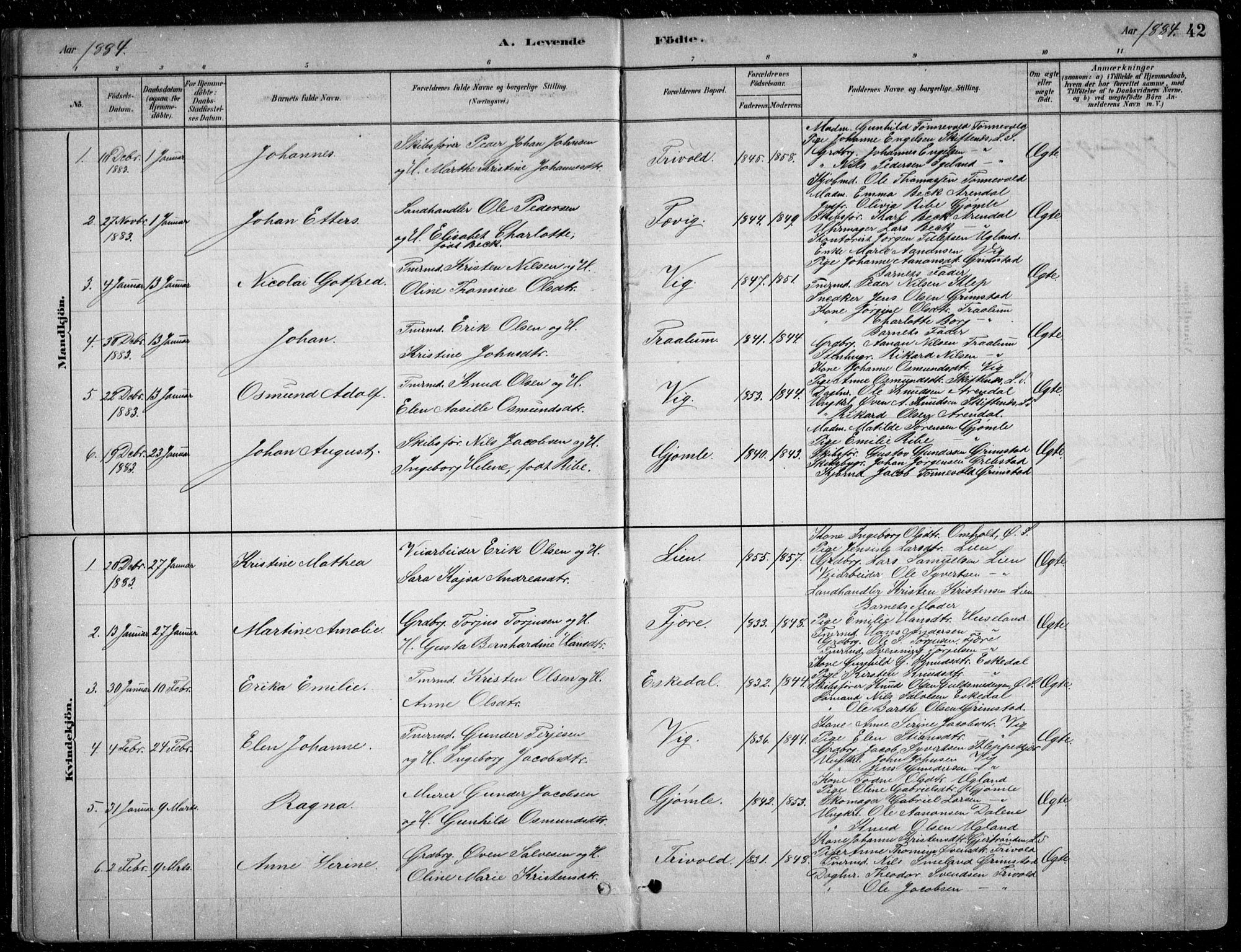 Fjære sokneprestkontor, SAK/1111-0011/F/Fb/L0011: Parish register (copy) no. B 11, 1881-1905, p. 42