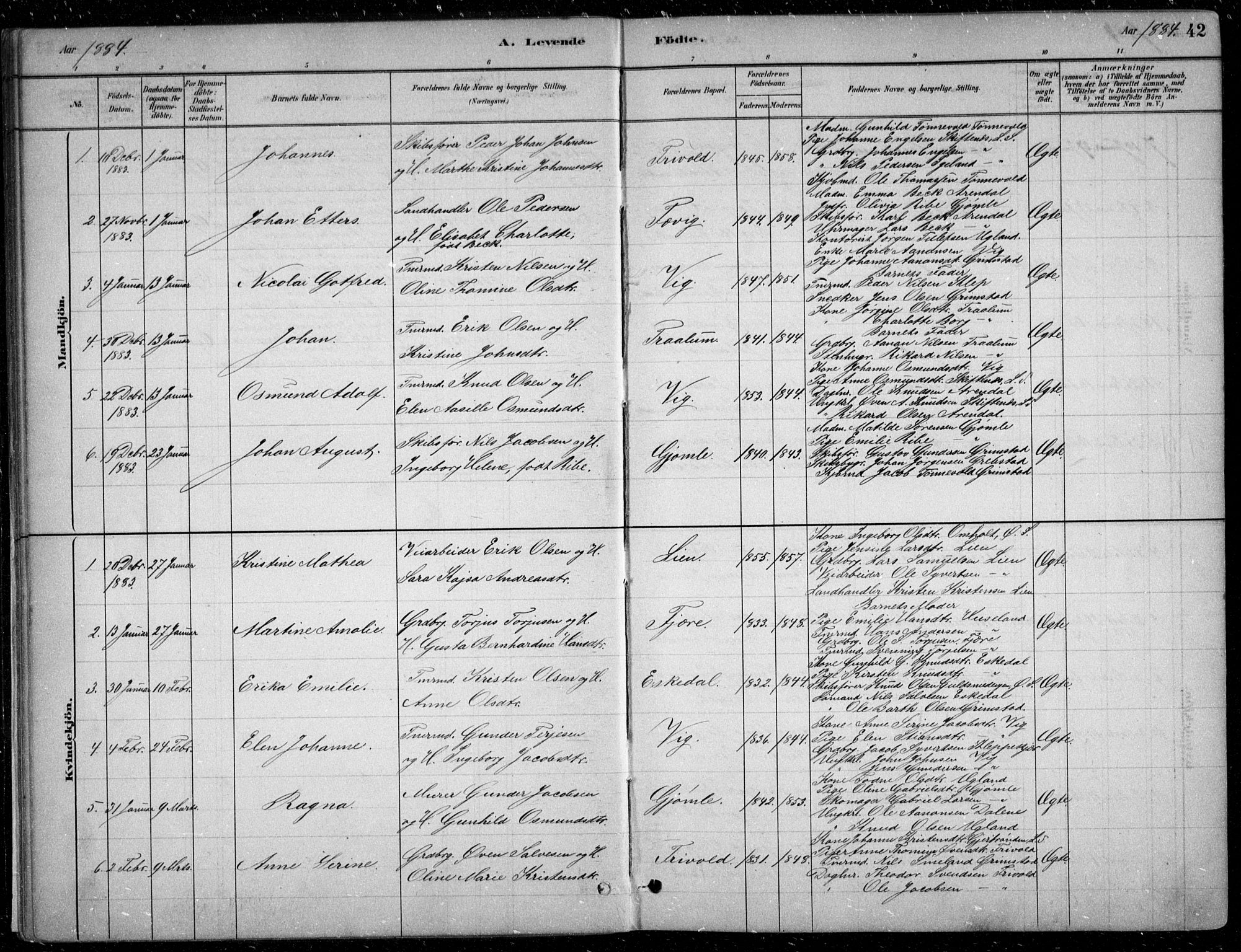 Fjære sokneprestkontor, AV/SAK-1111-0011/F/Fb/L0011: Parish register (copy) no. B 11, 1881-1905, p. 42