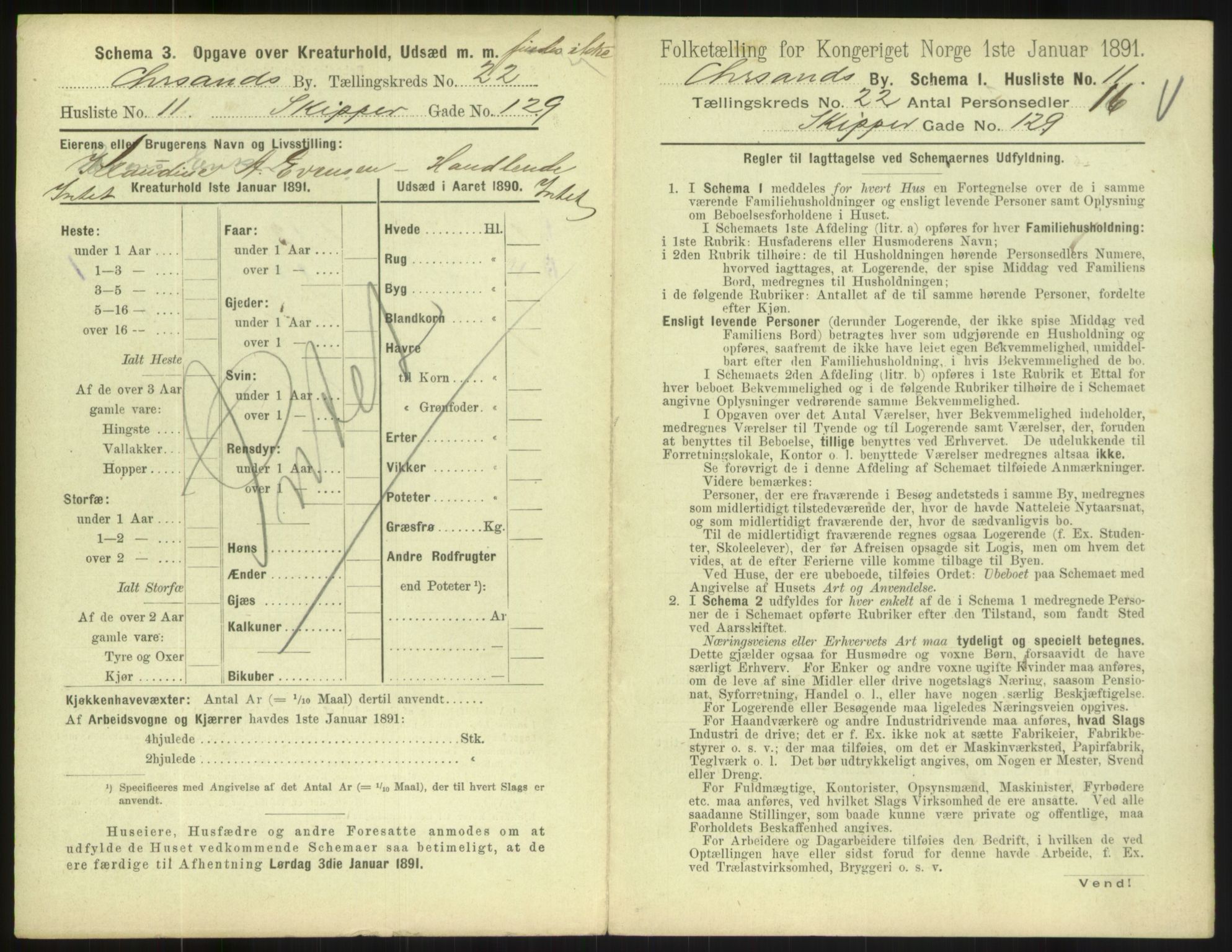 RA, 1891 census for 1001 Kristiansand, 1891, p. 1316