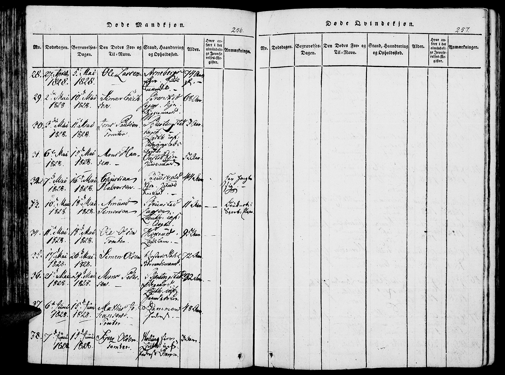 Romedal prestekontor, AV/SAH-PREST-004/K/L0002: Parish register (official) no. 2, 1814-1828, p. 256-257