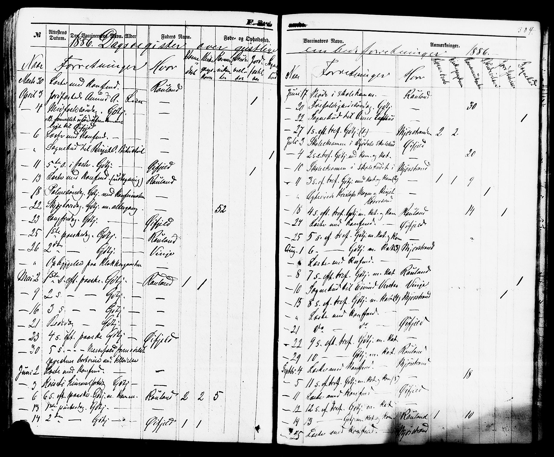 Rauland kirkebøker, SAKO/A-292/F/Fa/L0003: Parish register (official) no. 3, 1859-1886, p. 384