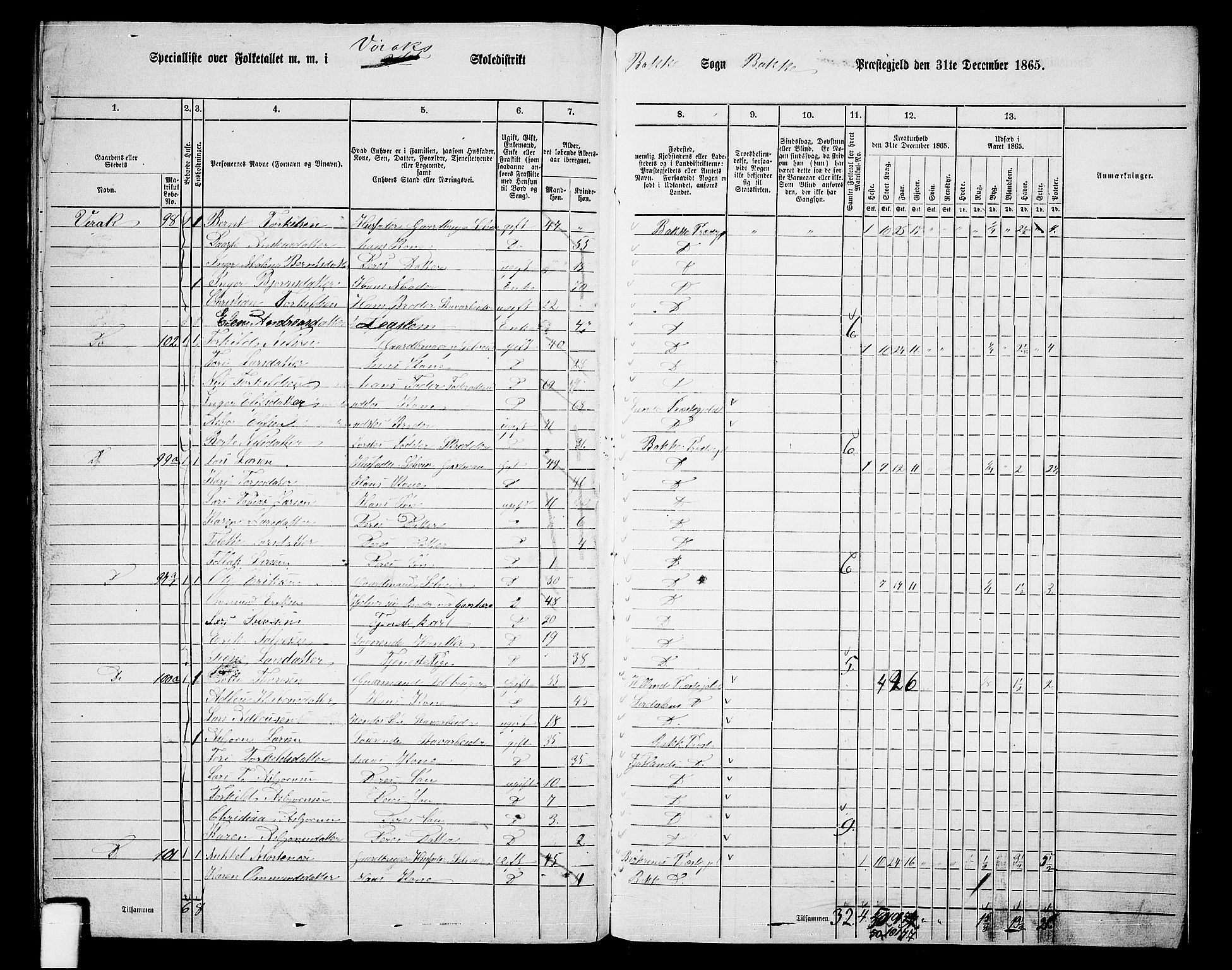 RA, 1865 census for Bakke, 1865, p. 113