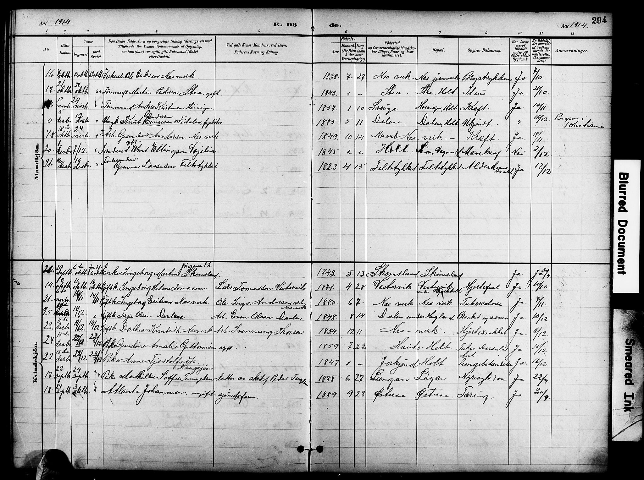 Holt sokneprestkontor, AV/SAK-1111-0021/F/Fb/L0011: Parish register (copy) no. B 11, 1897-1921, p. 294