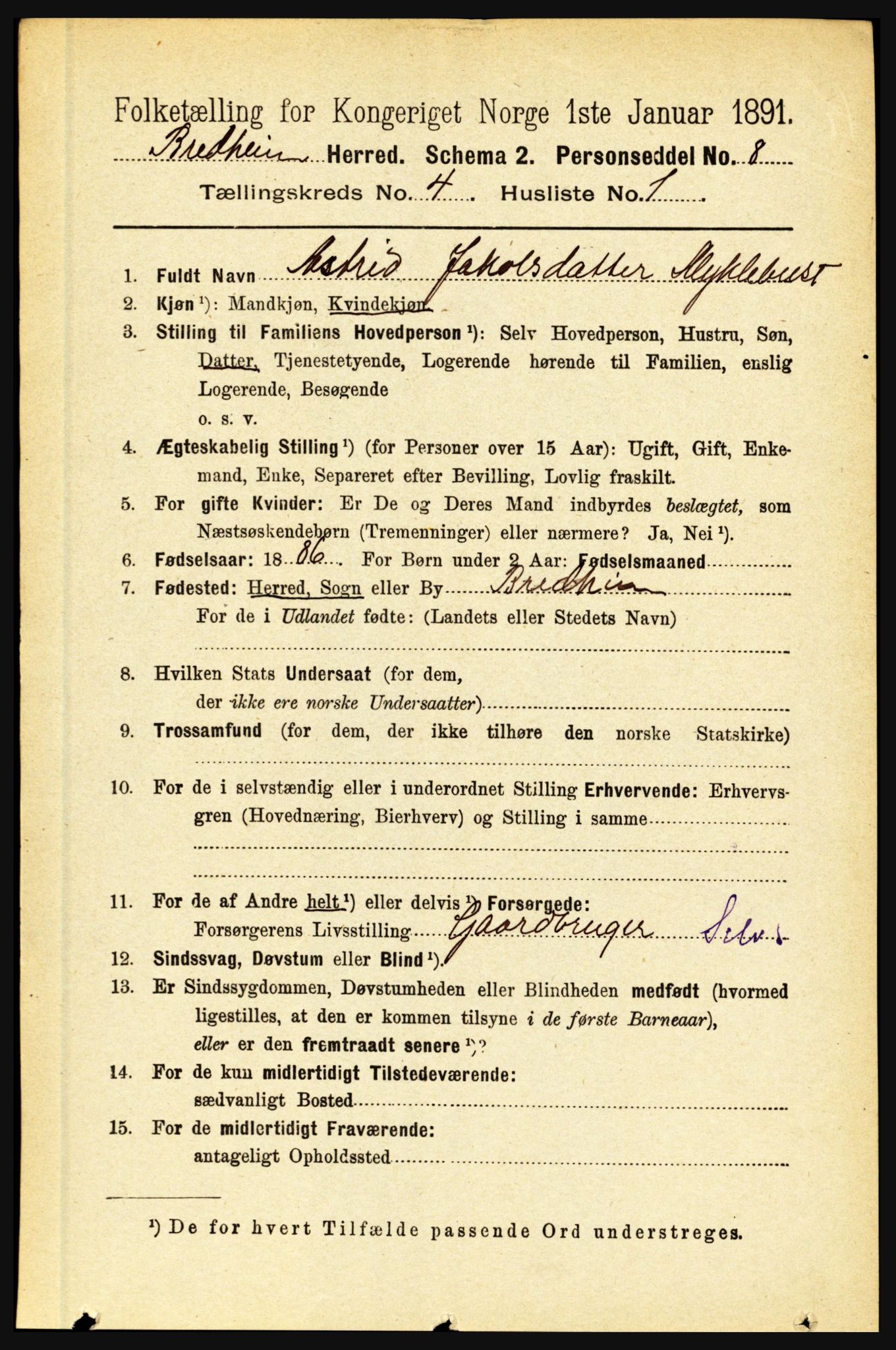 RA, 1891 census for 1446 Breim, 1891, p. 1309