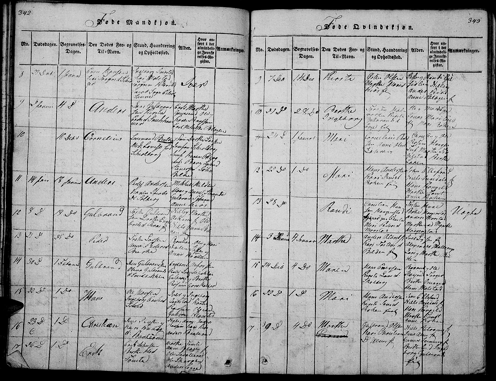Gran prestekontor, SAH/PREST-112/H/Ha/Hab/L0001: Parish register (copy) no. 1, 1815-1824, p. 342-343