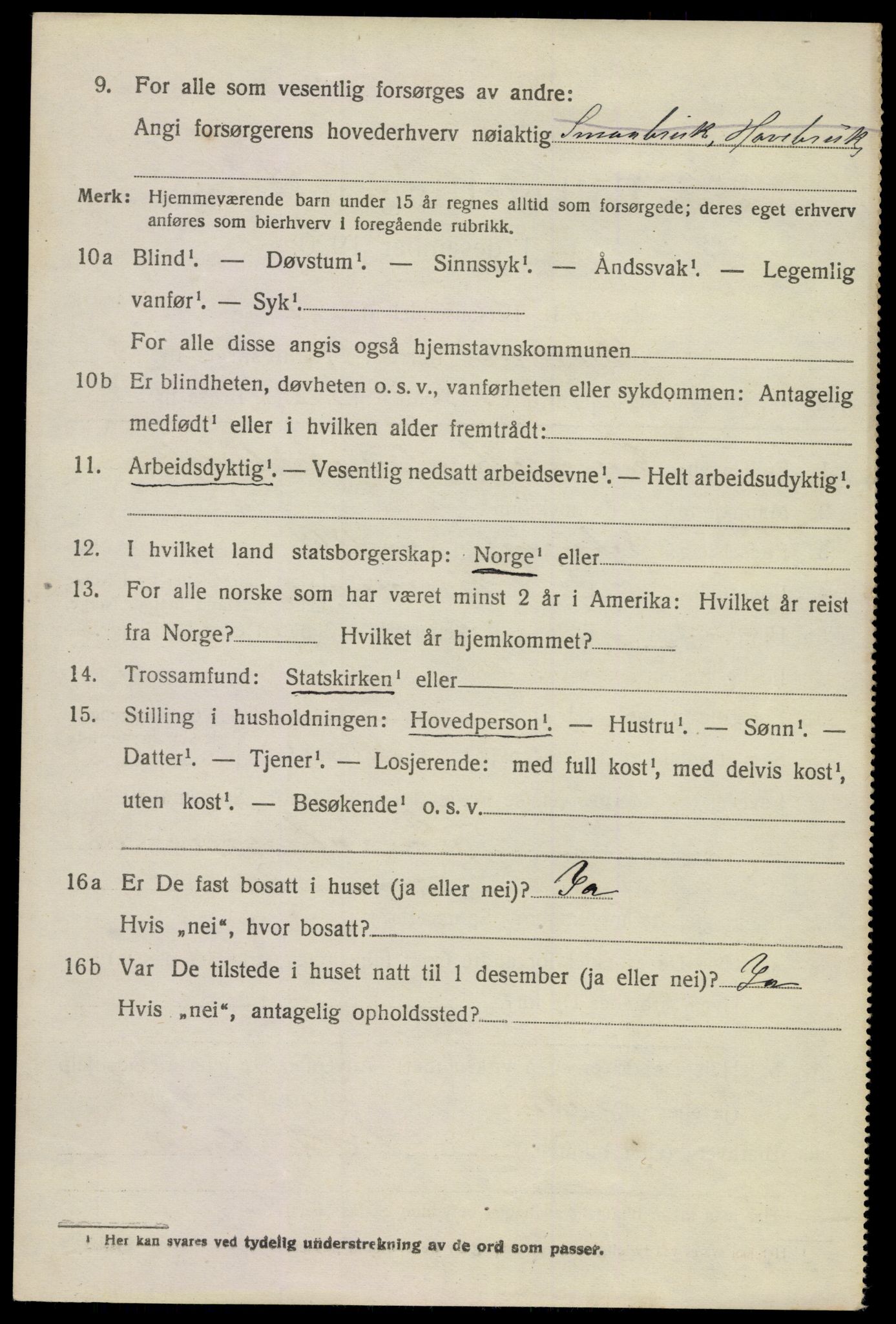 SAKO, 1920 census for Strømm, 1920, p. 2020