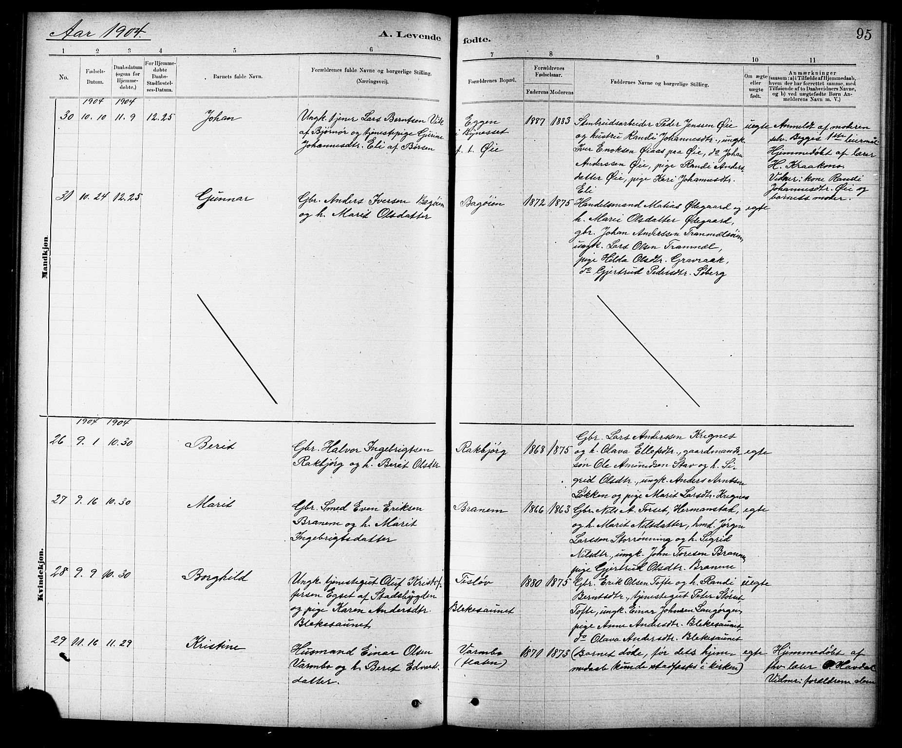 Ministerialprotokoller, klokkerbøker og fødselsregistre - Sør-Trøndelag, SAT/A-1456/691/L1094: Parish register (copy) no. 691C05, 1879-1911, p. 95