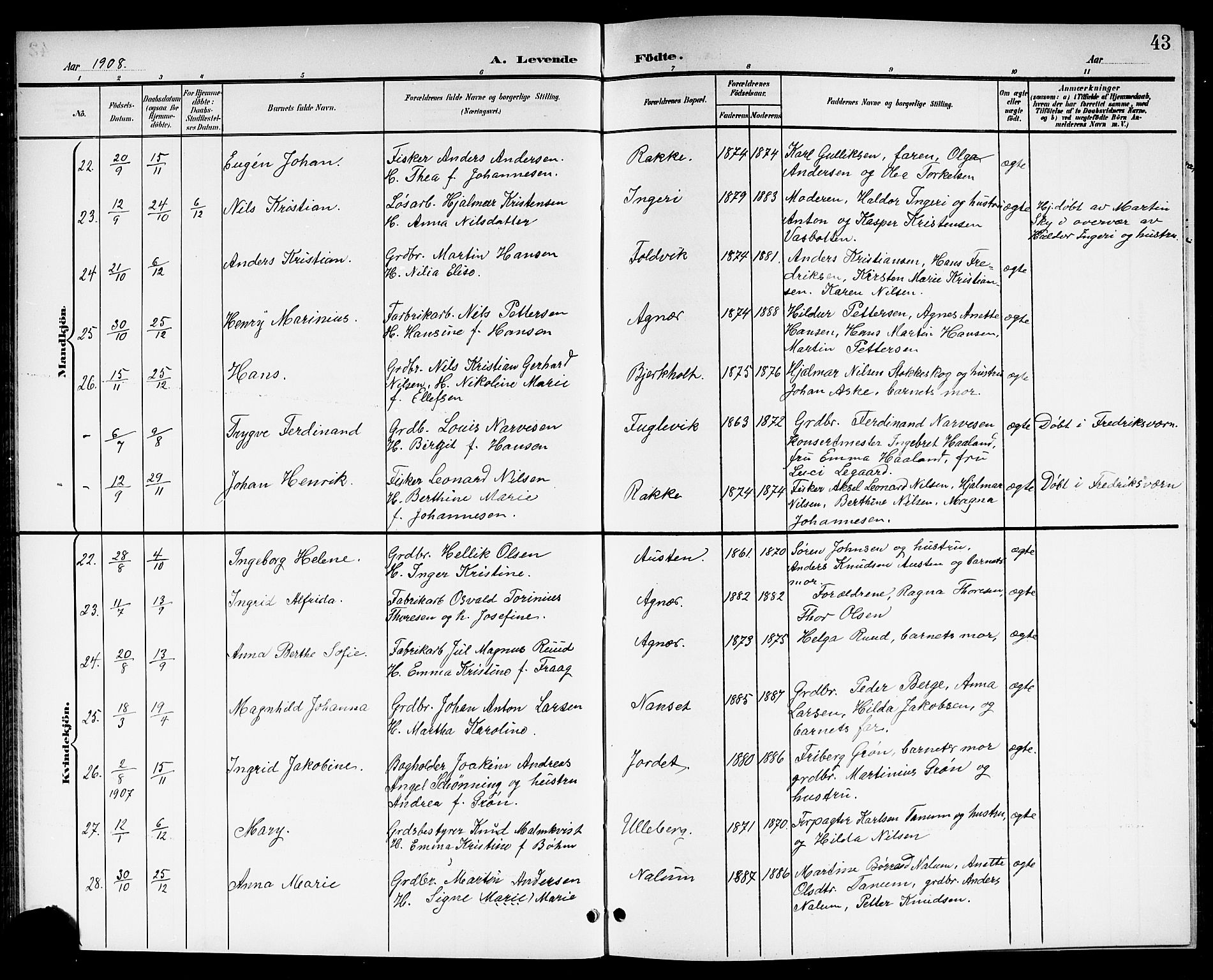 Brunlanes kirkebøker, SAKO/A-342/G/Ga/L0004: Parish register (copy) no. I 4, 1898-1921, p. 43