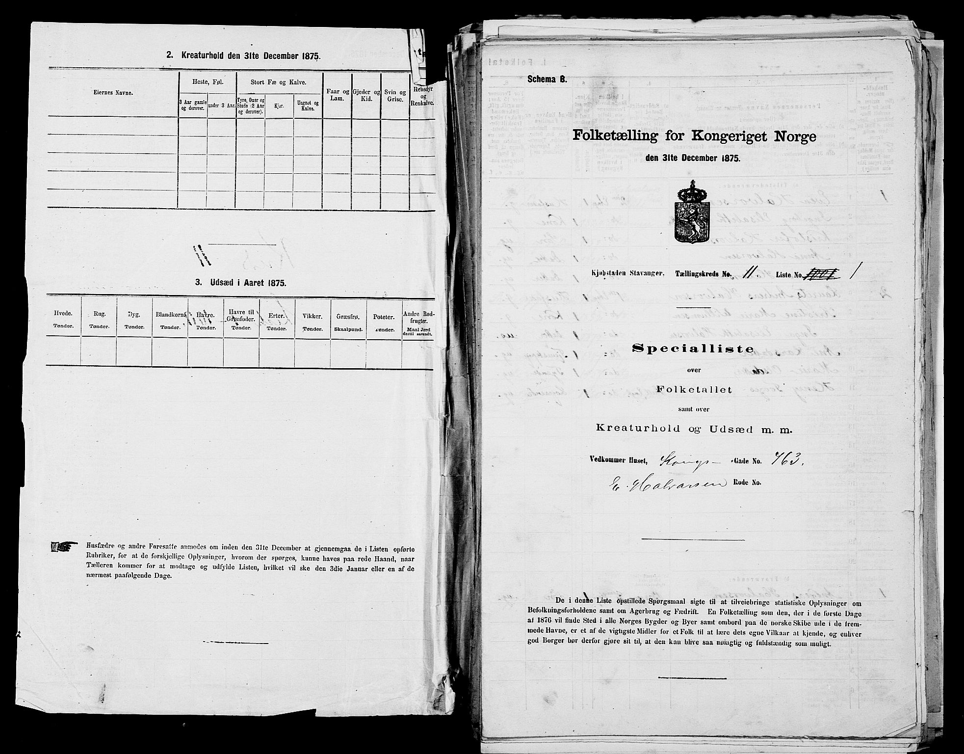 SAST, 1875 census for 1103 Stavanger, 1875, p. 2044