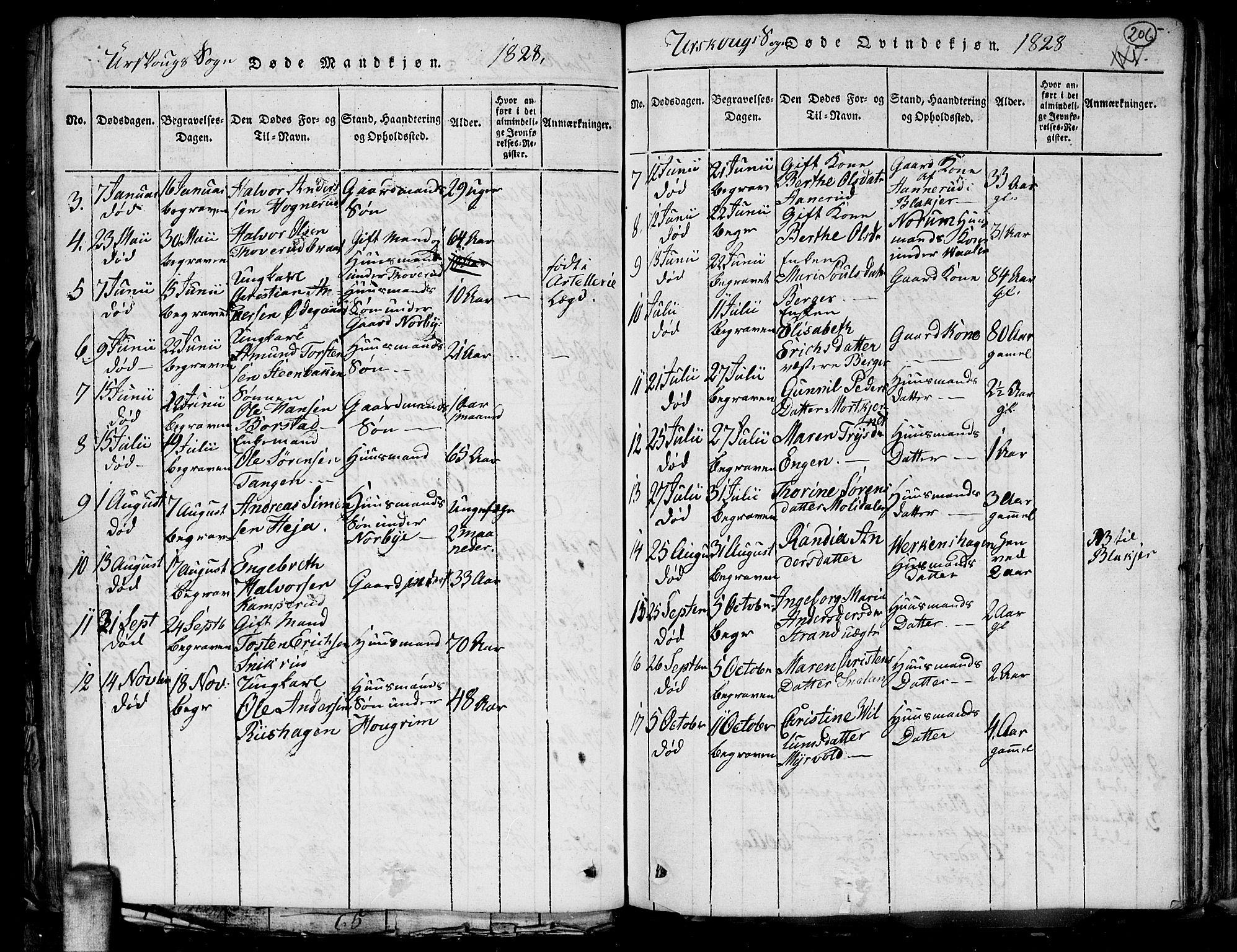 Aurskog prestekontor Kirkebøker, SAO/A-10304a/G/Ga/L0001: Parish register (copy) no. I 1, 1814-1829, p. 206