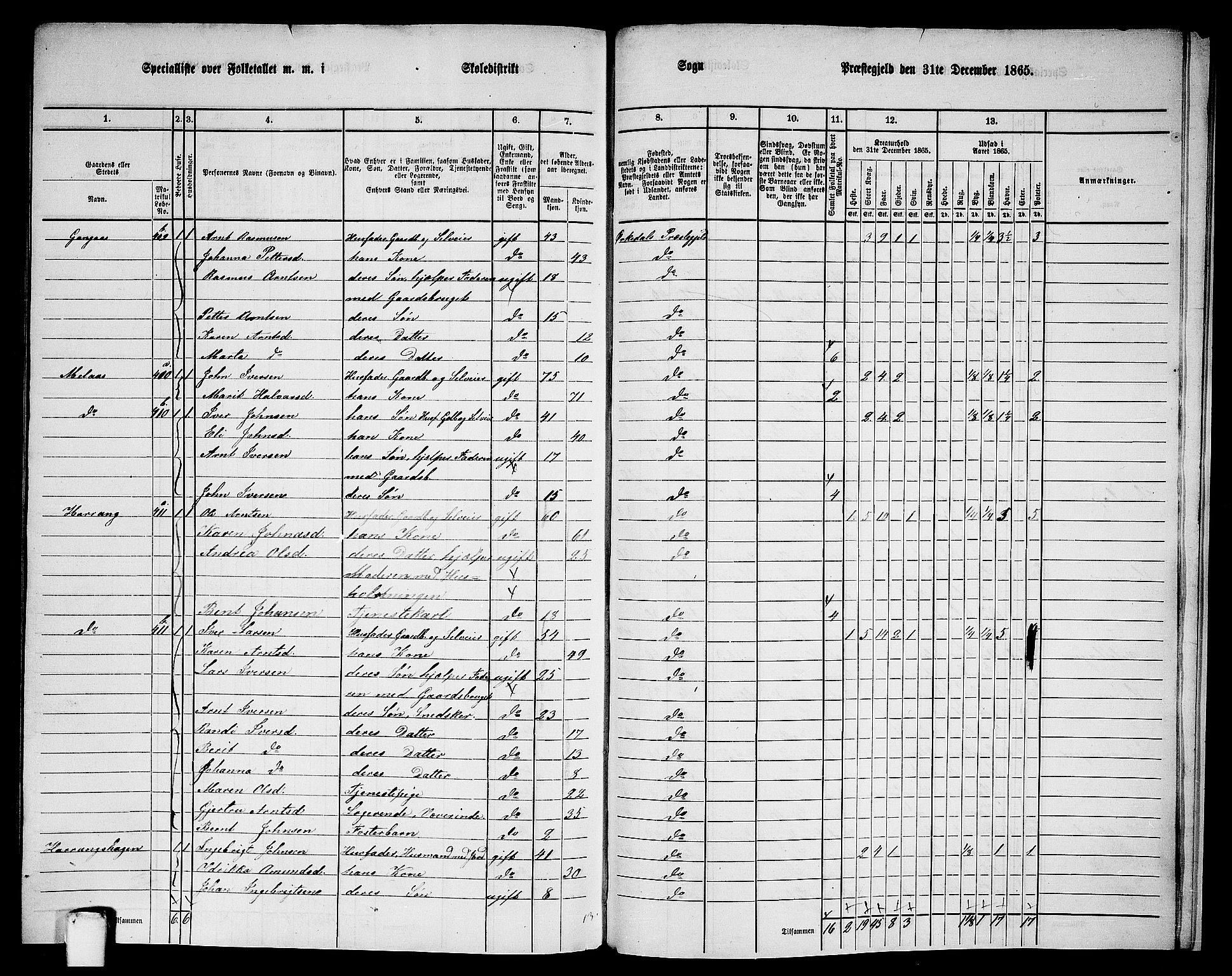 RA, 1865 census for Orkdal, 1865, p. 262