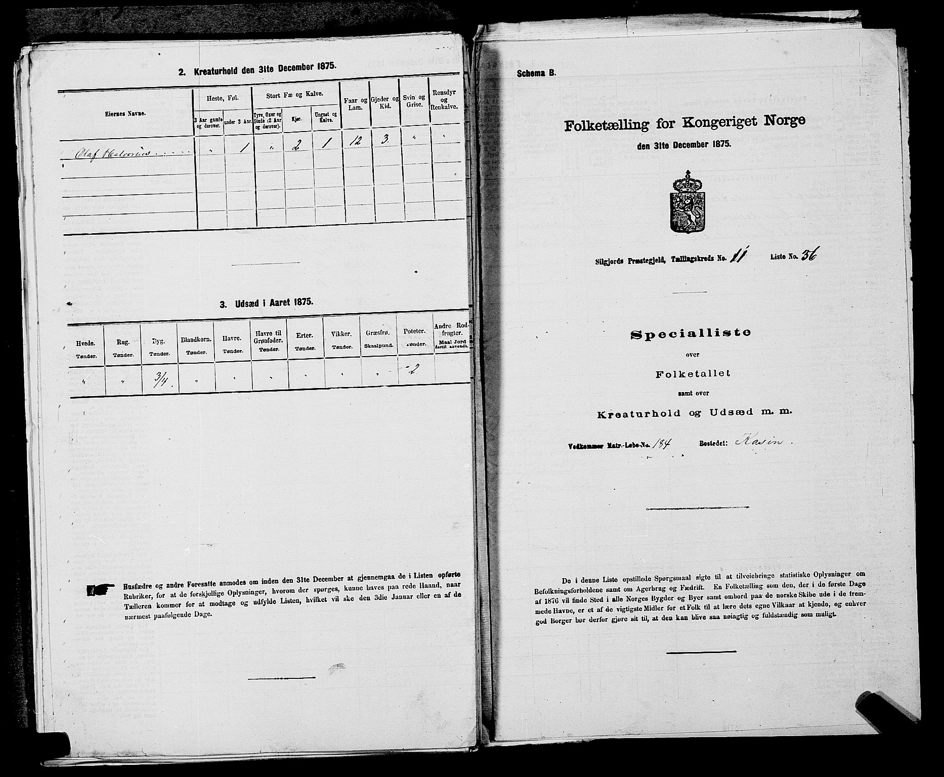 SAKO, 1875 census for 0828P Seljord, 1875, p. 1246