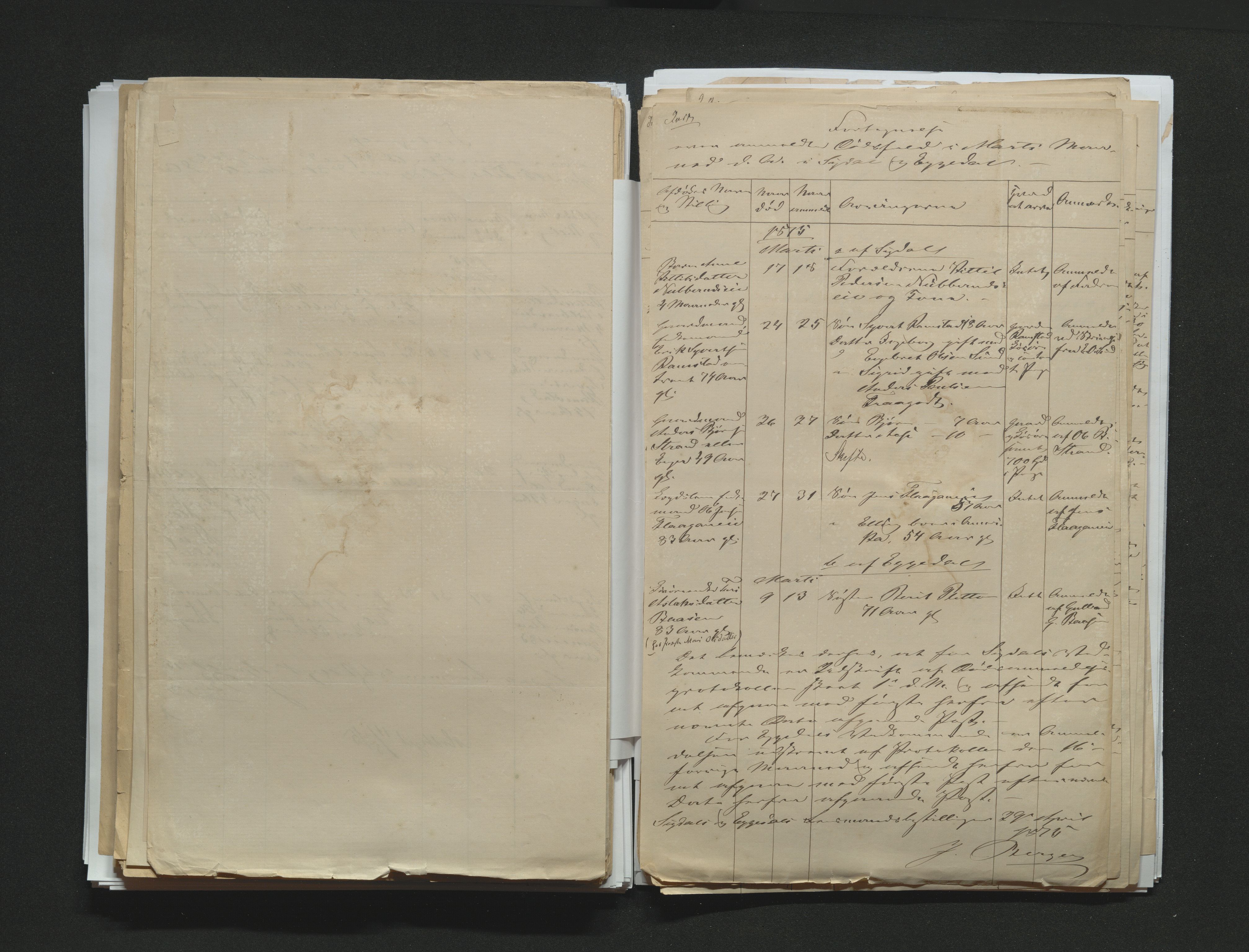 Eiker, Modum og Sigdal sorenskriveri, AV/SAKO-A-123/H/Ha/Hab/L0014: Dødsfallsmeldinger, 1874-1877, p. 289