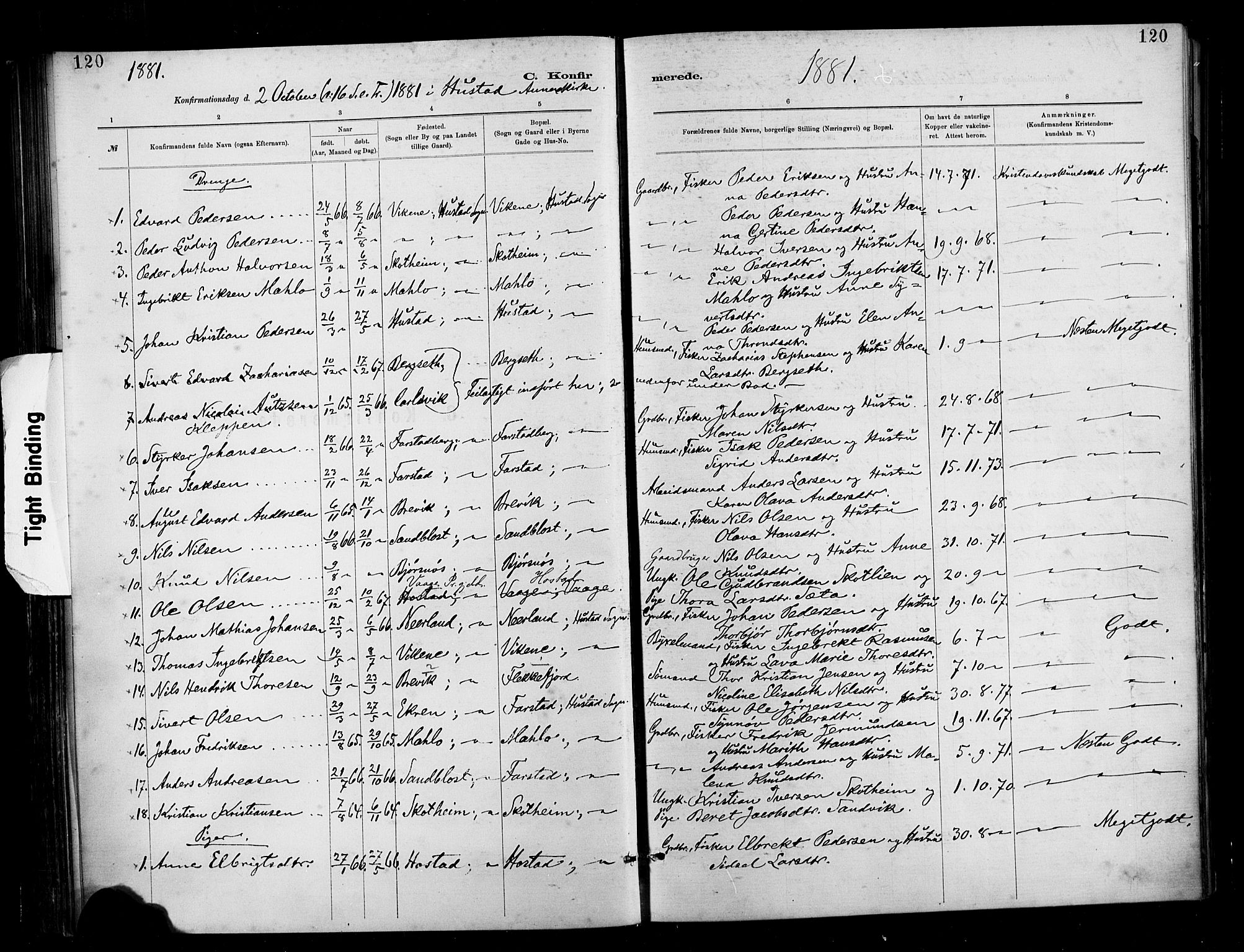 Ministerialprotokoller, klokkerbøker og fødselsregistre - Møre og Romsdal, AV/SAT-A-1454/566/L0769: Parish register (official) no. 566A08, 1881-1903, p. 120