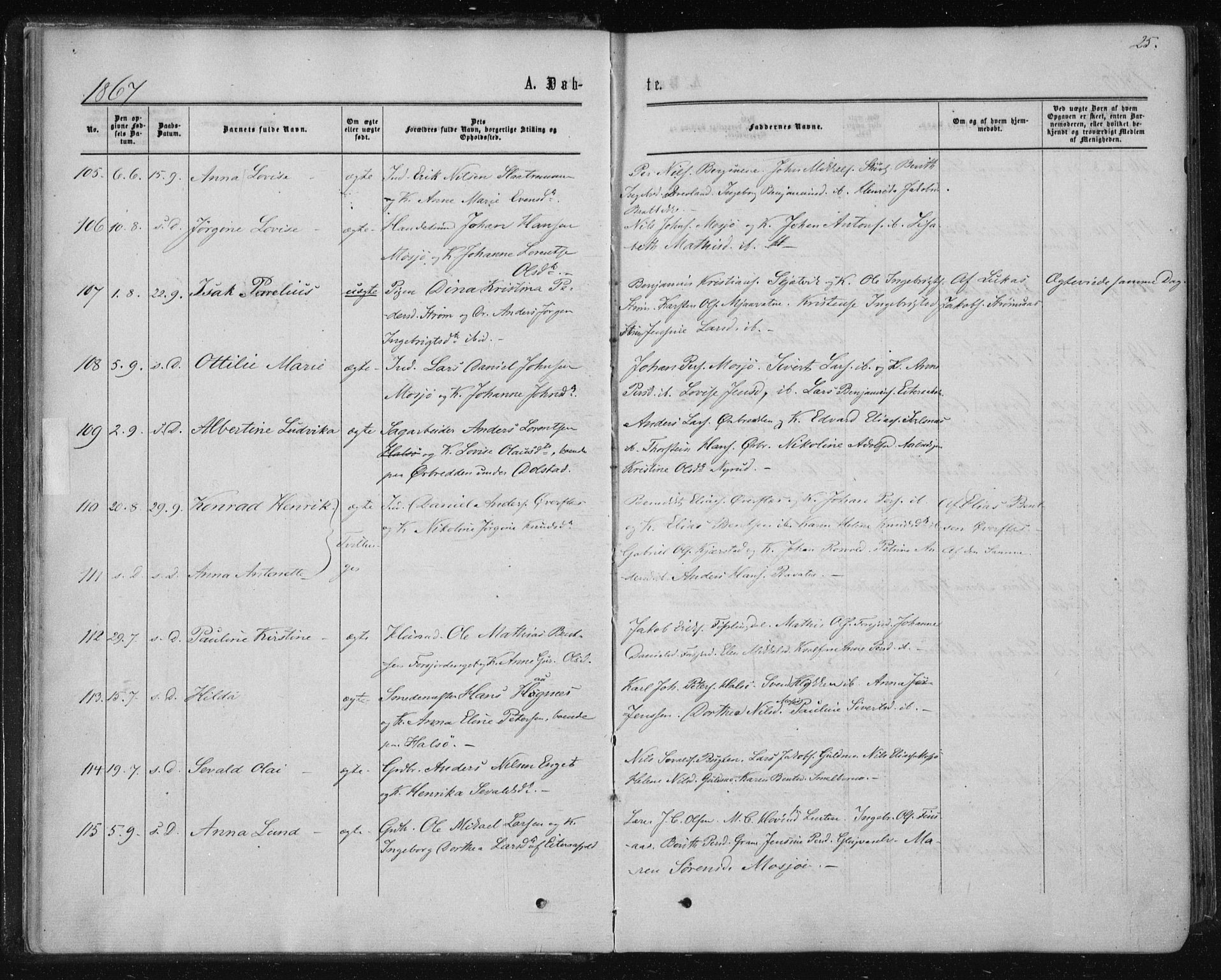 Ministerialprotokoller, klokkerbøker og fødselsregistre - Nordland, AV/SAT-A-1459/820/L0294: Parish register (official) no. 820A15, 1866-1879, p. 25