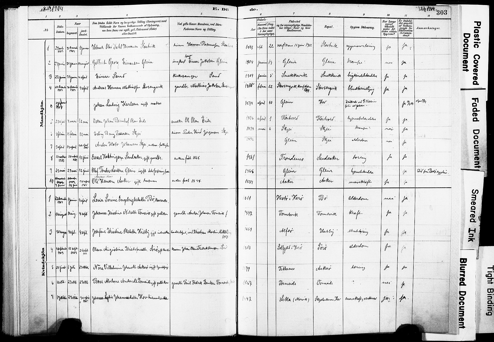 Ministerialprotokoller, klokkerbøker og fødselsregistre - Nordland, AV/SAT-A-1459/835/L0526: Parish register (official) no. 835A03II, 1881-1910, p. 303