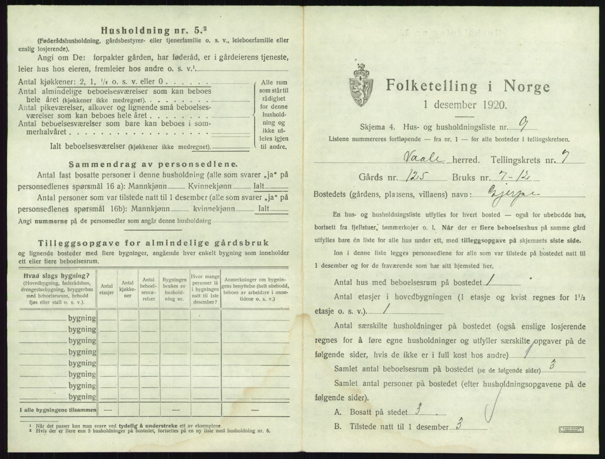 SAKO, 1920 census for Våle, 1920, p. 873