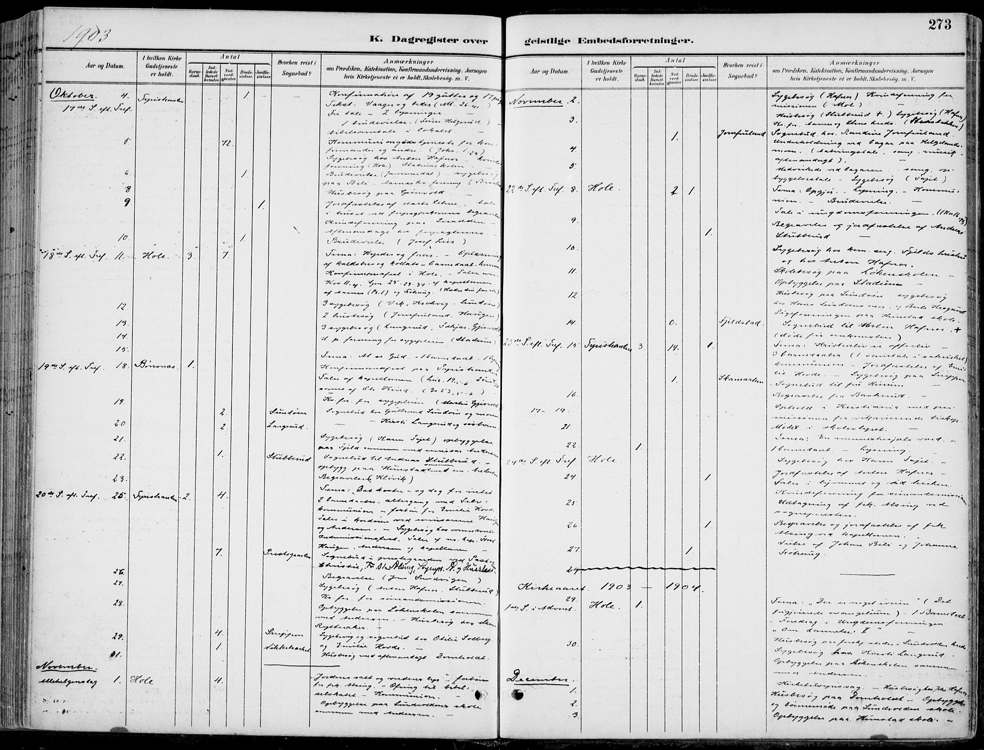 Hole kirkebøker, AV/SAKO-A-228/F/Fa/L0009: Parish register (official) no. I 9, 1892-1907, p. 273