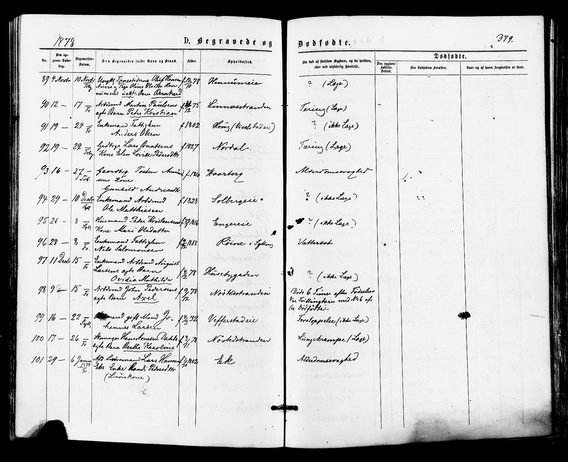Lier kirkebøker, AV/SAKO-A-230/F/Fa/L0014: Parish register (official) no. I 14, 1875-1882, p. 379