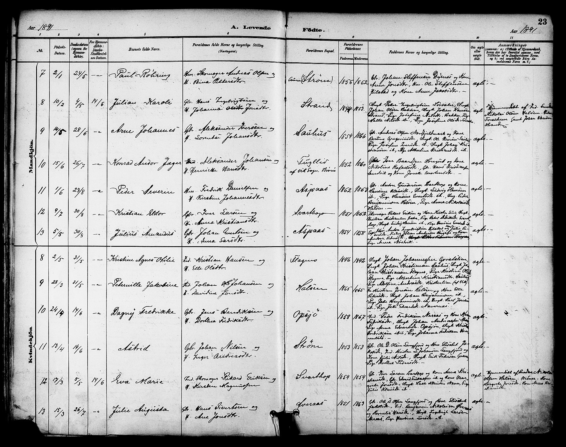 Ministerialprotokoller, klokkerbøker og fødselsregistre - Nordland, SAT/A-1459/814/L0226: Parish register (official) no. 814A07, 1886-1898, p. 23