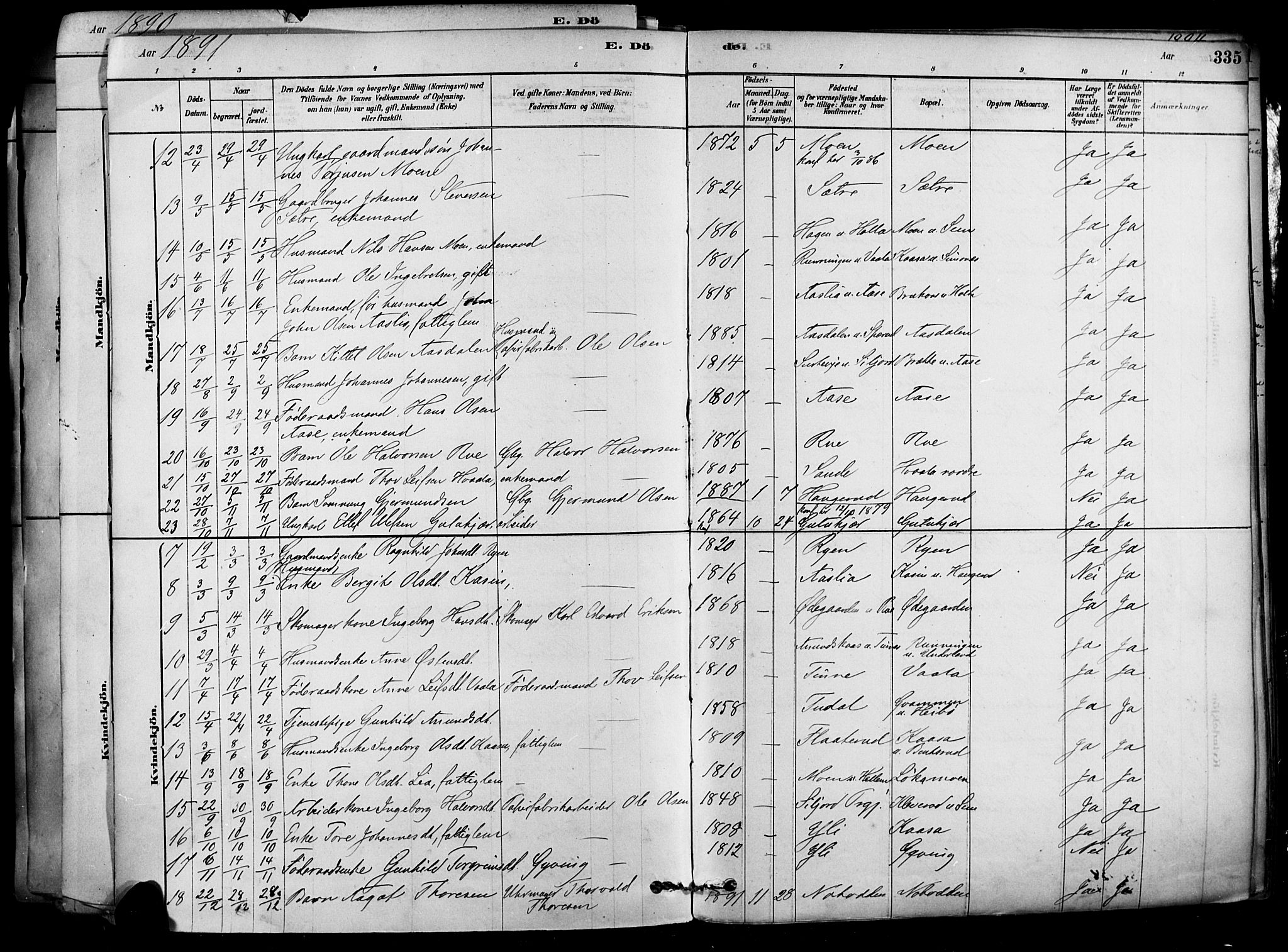 Heddal kirkebøker, SAKO/A-268/F/Fa/L0008: Parish register (official) no. I 8, 1878-1903, p. 335